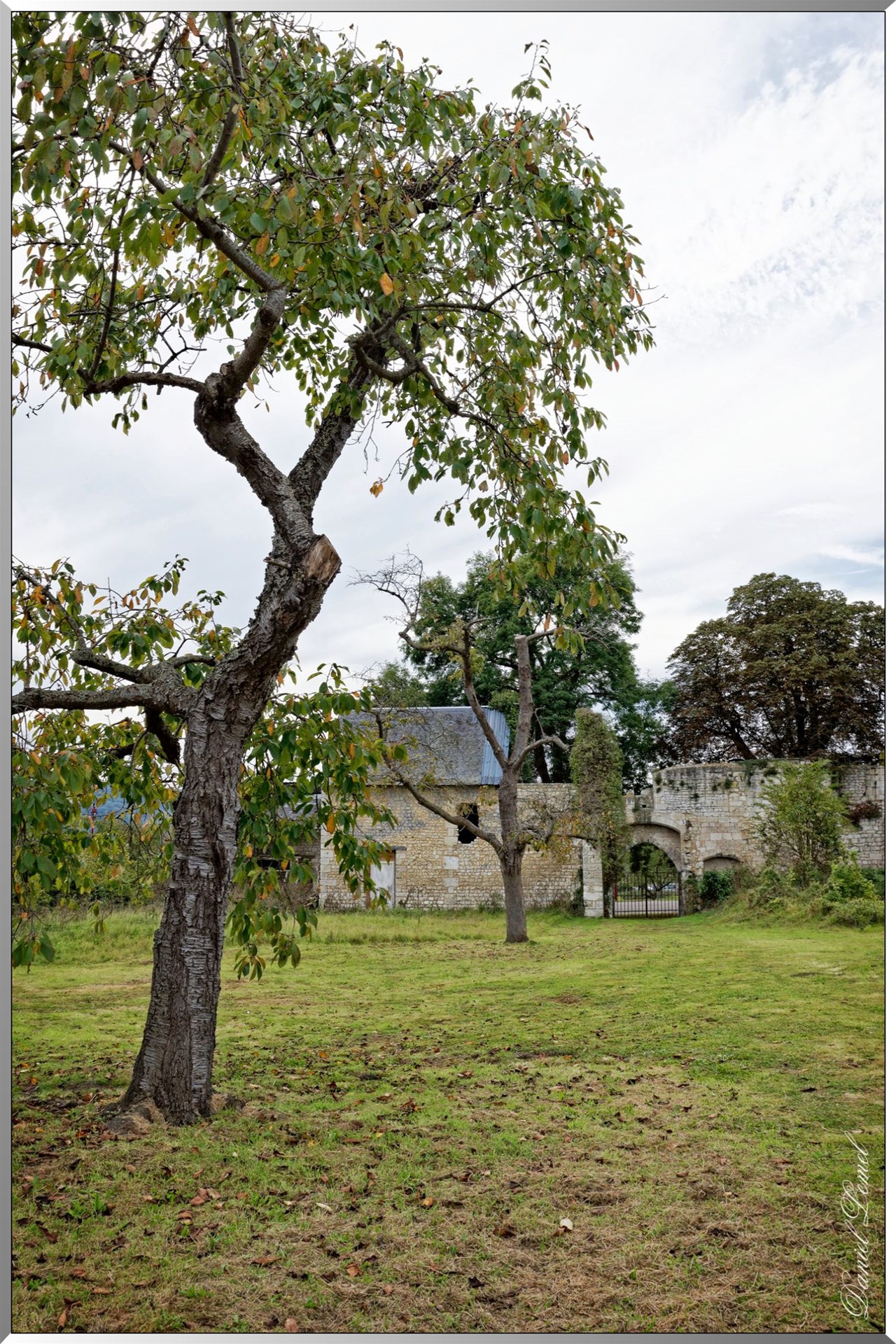 Abbaye de Jumièges