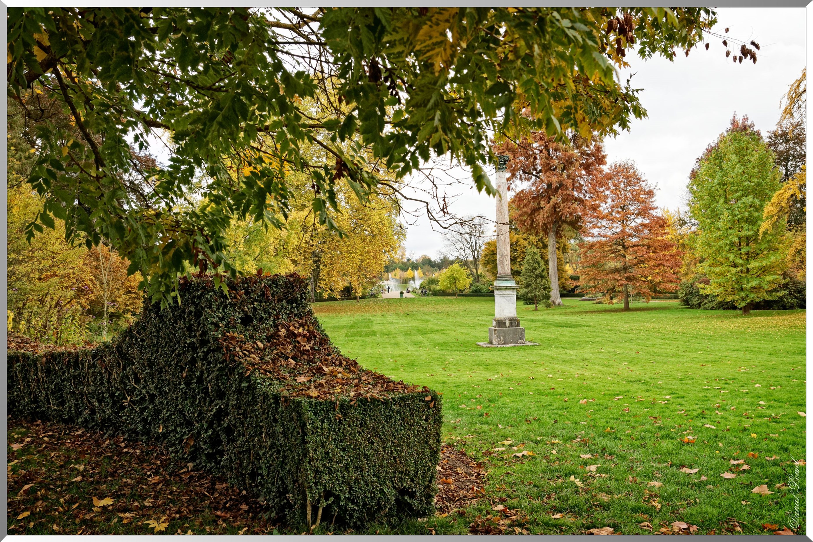 Jardin du Roi