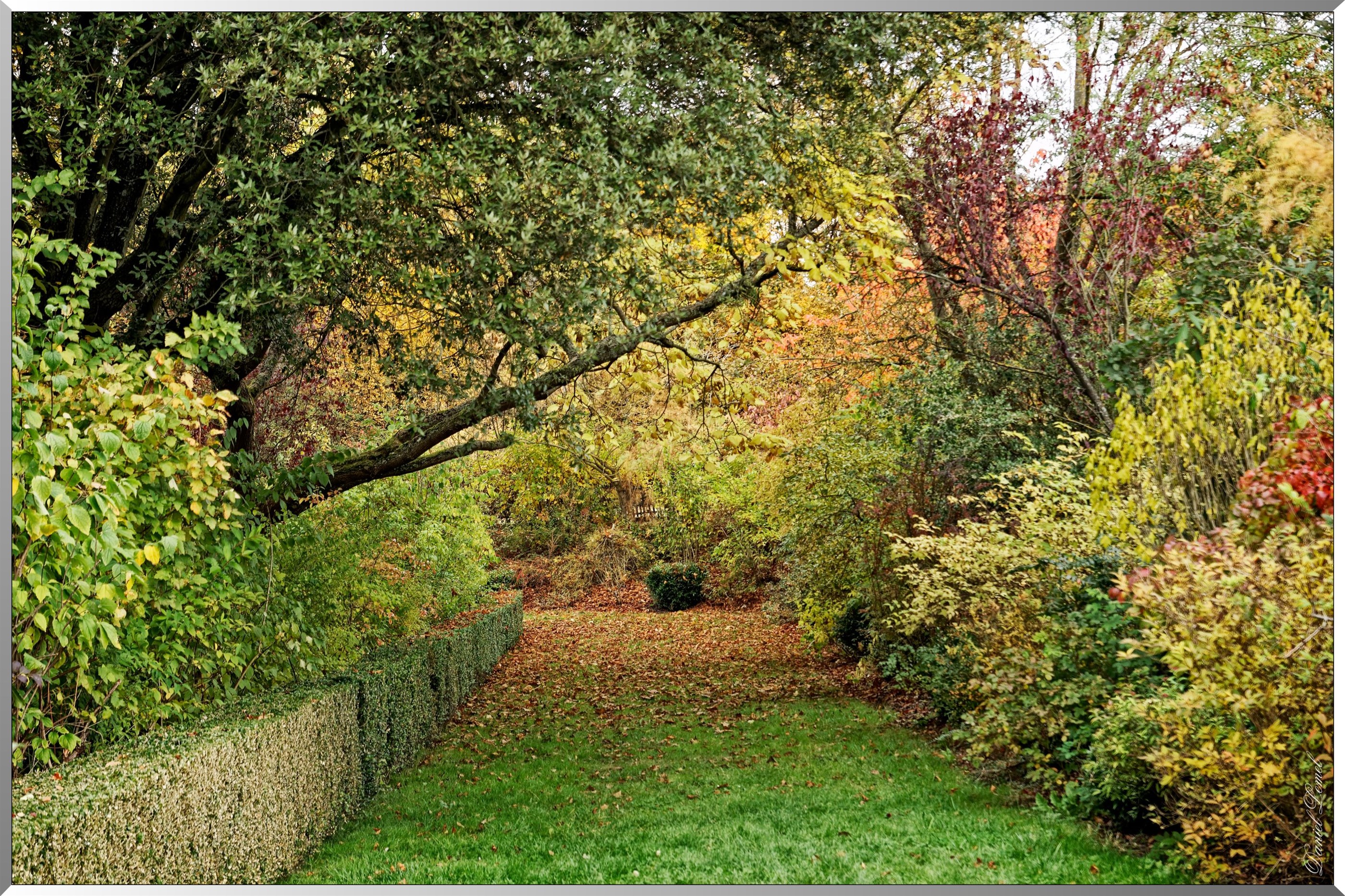 Jardin du Roi