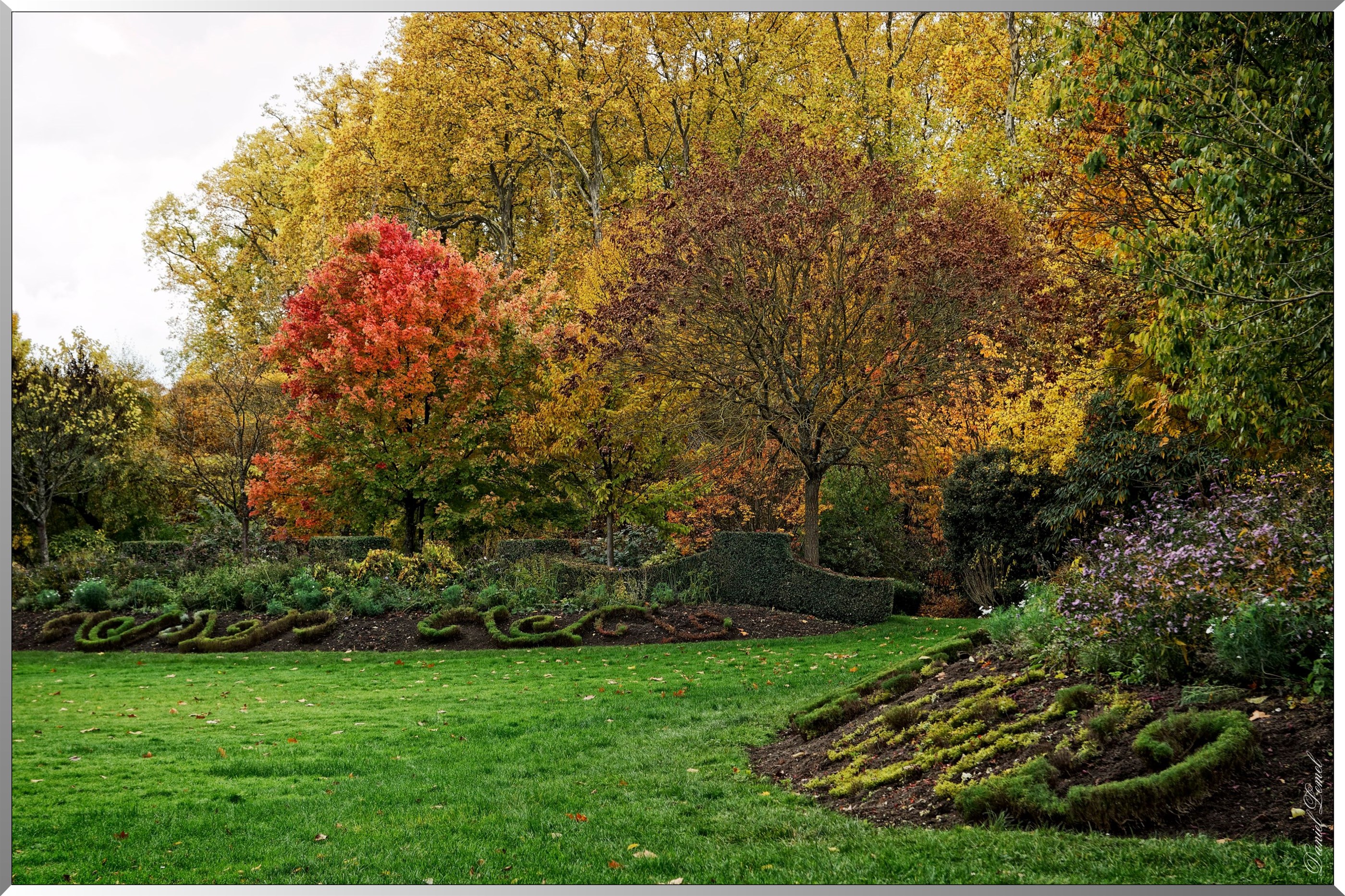 Jardin du Roi