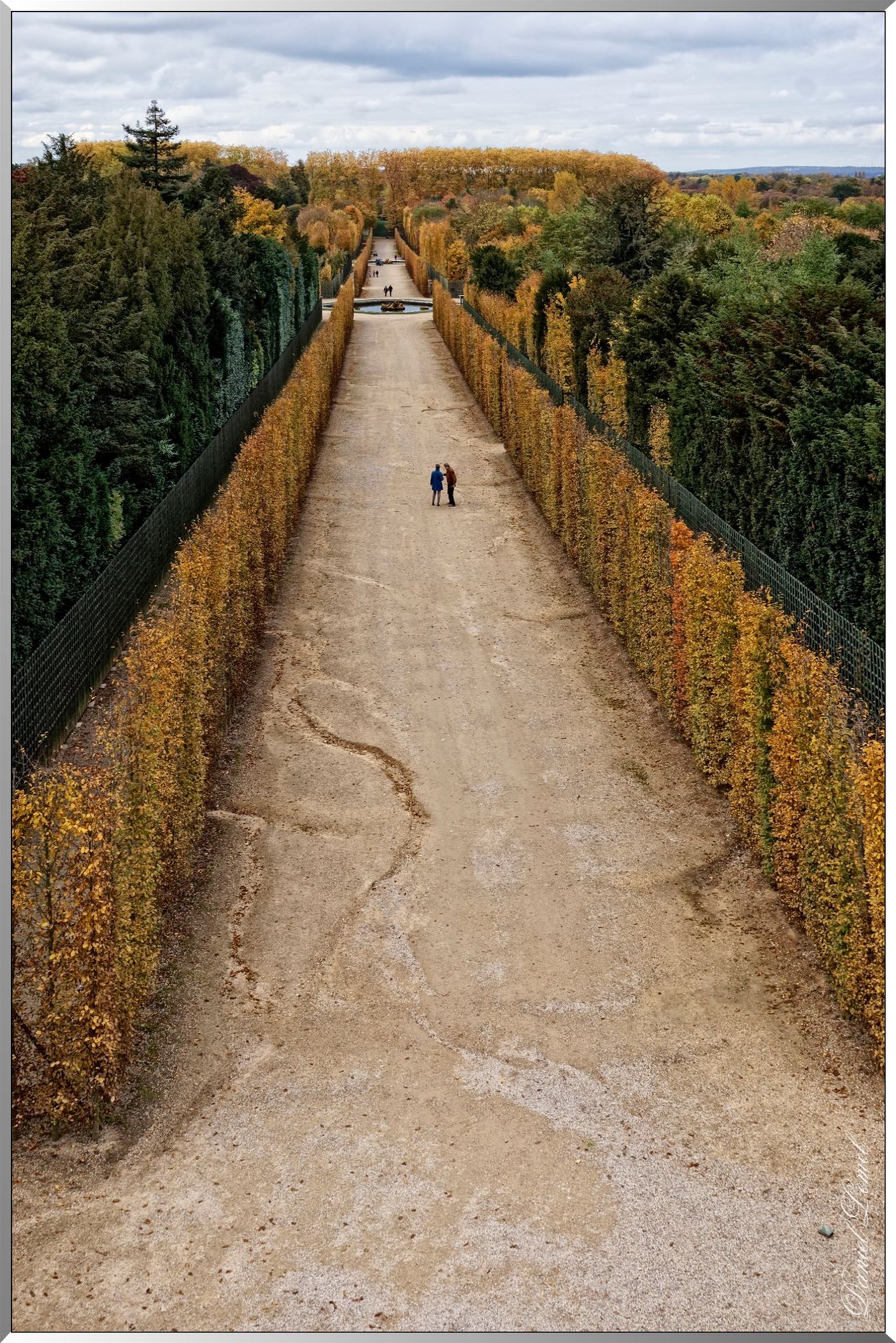 Allée