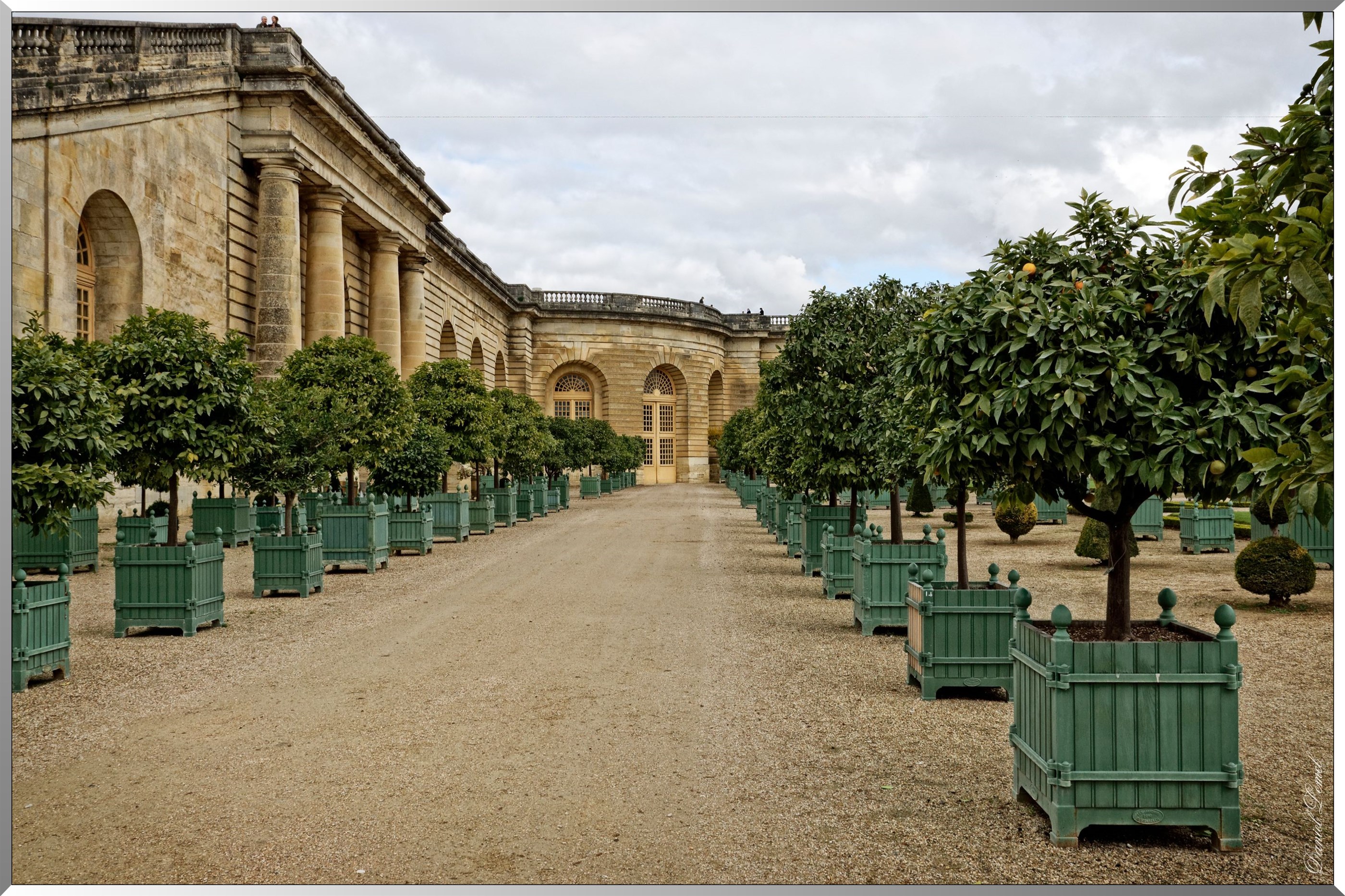 Orangerie