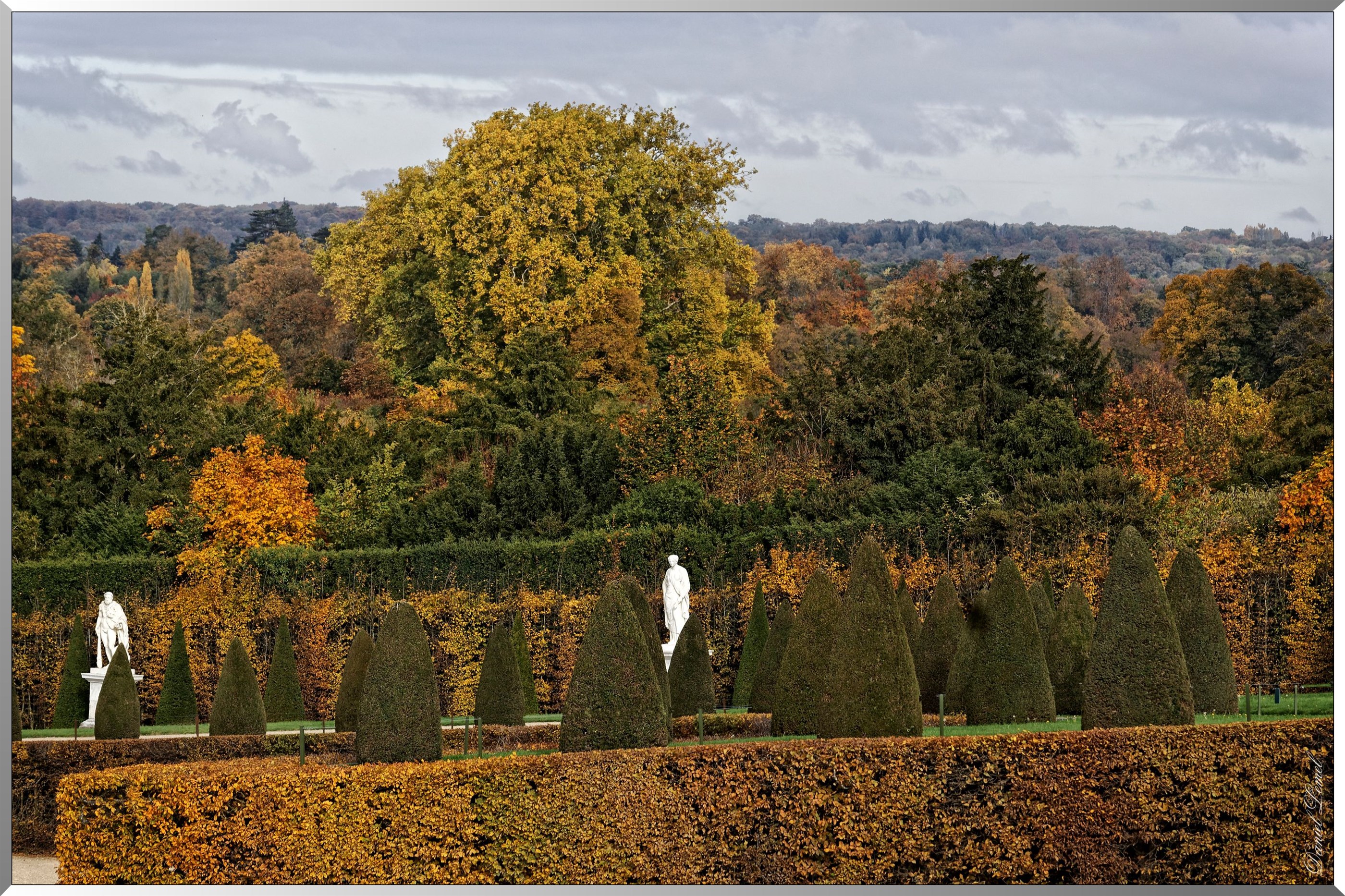 Paysage d'automne