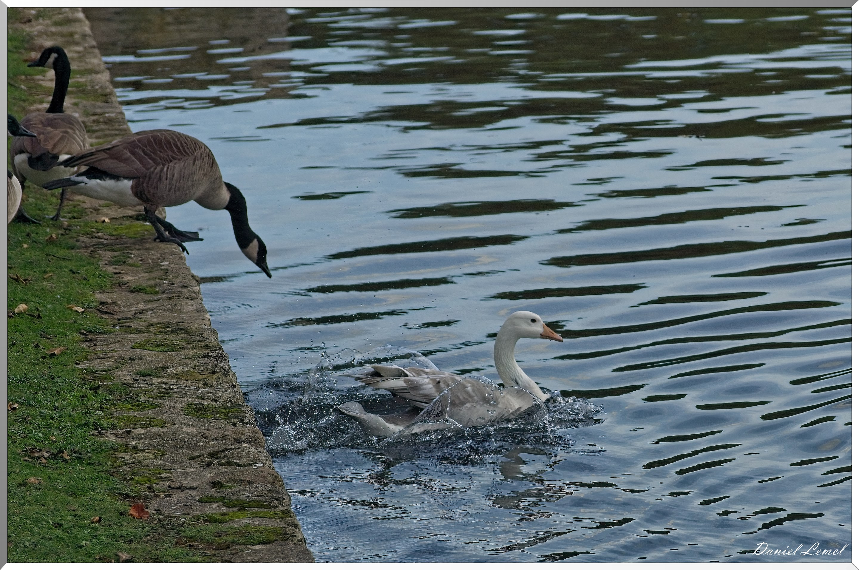 Soirée Club photo au domaine de Villarceaux