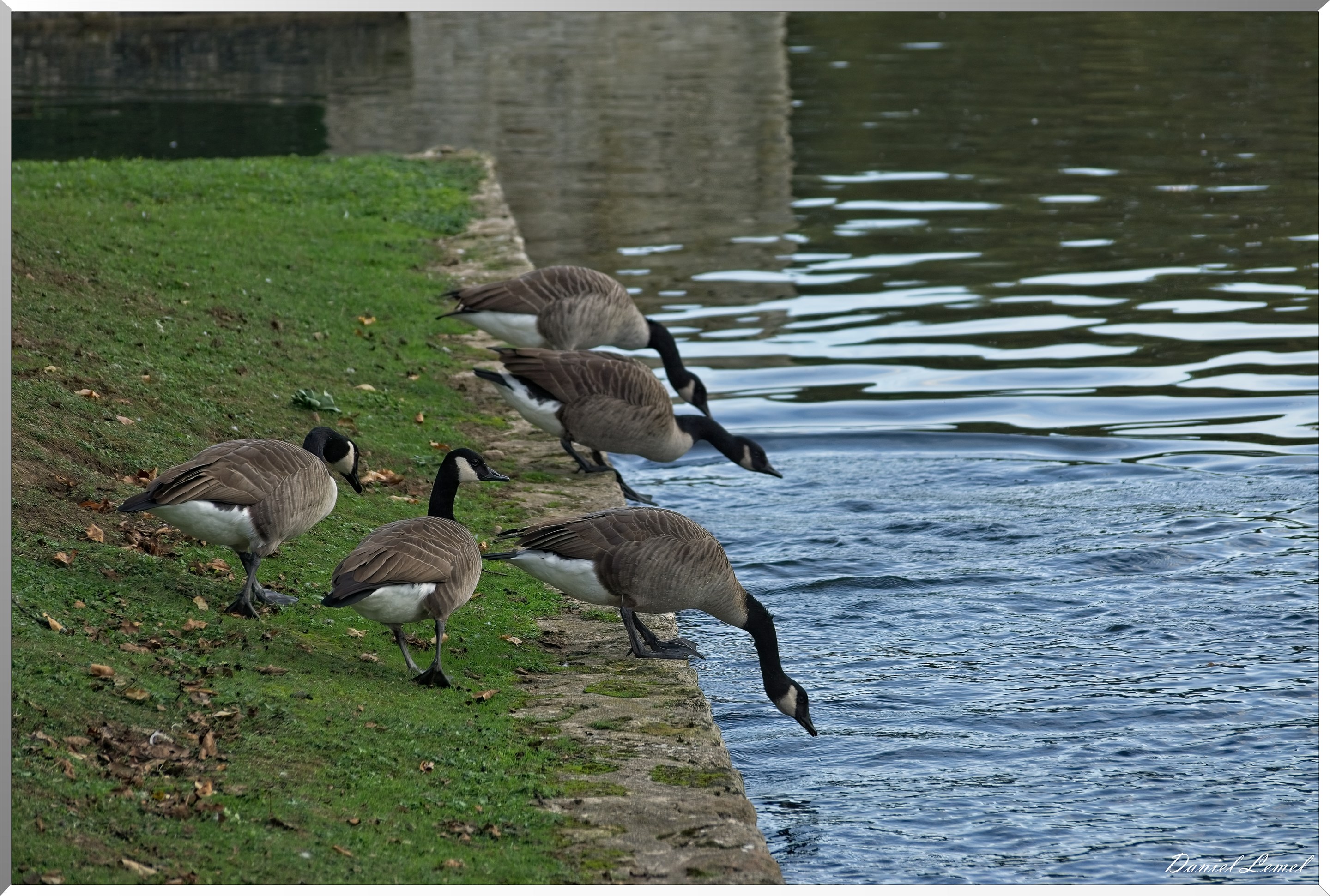 Soirée Club photo au domaine de Villarceaux