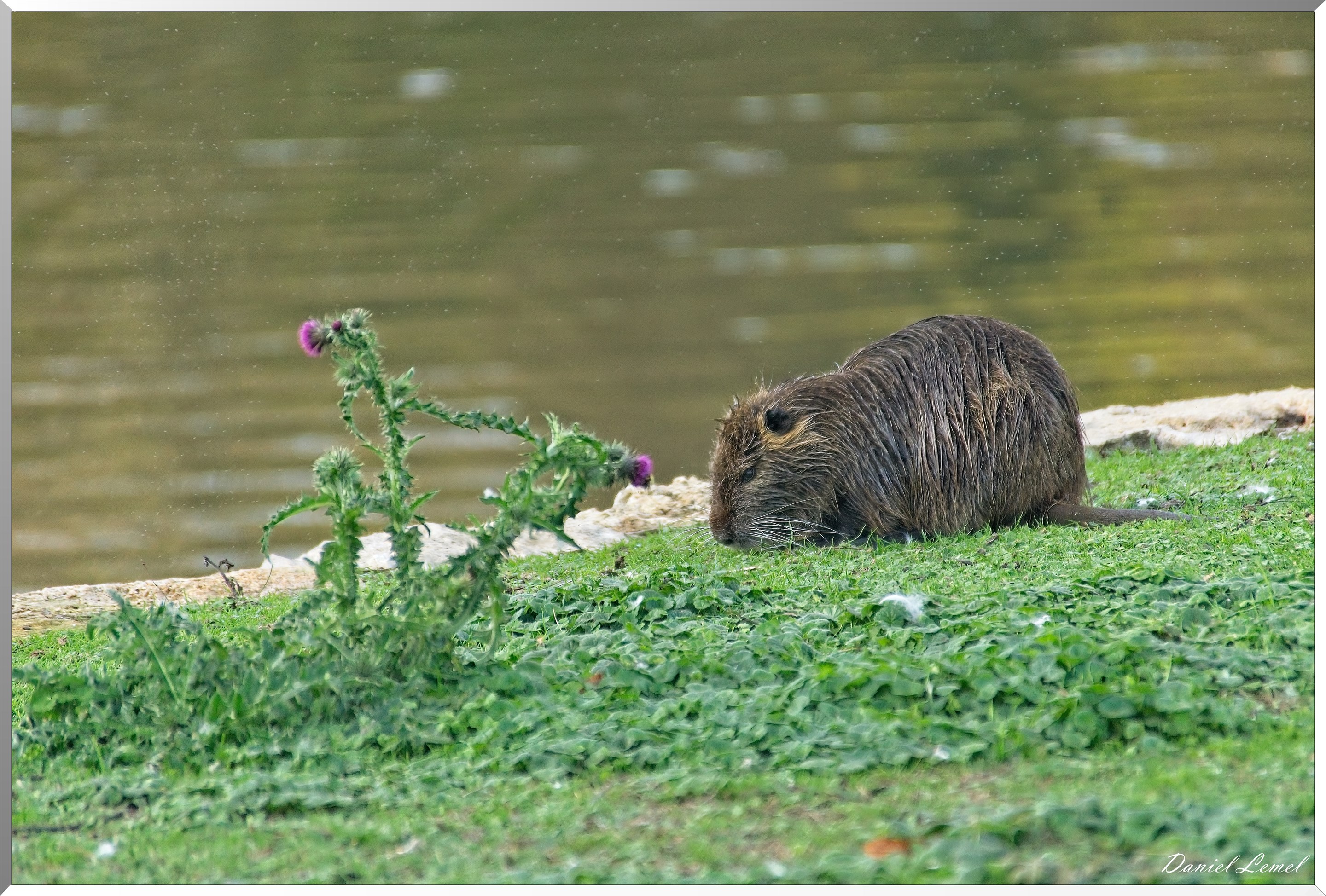Soirée Club photo au domaine de Villarceaux