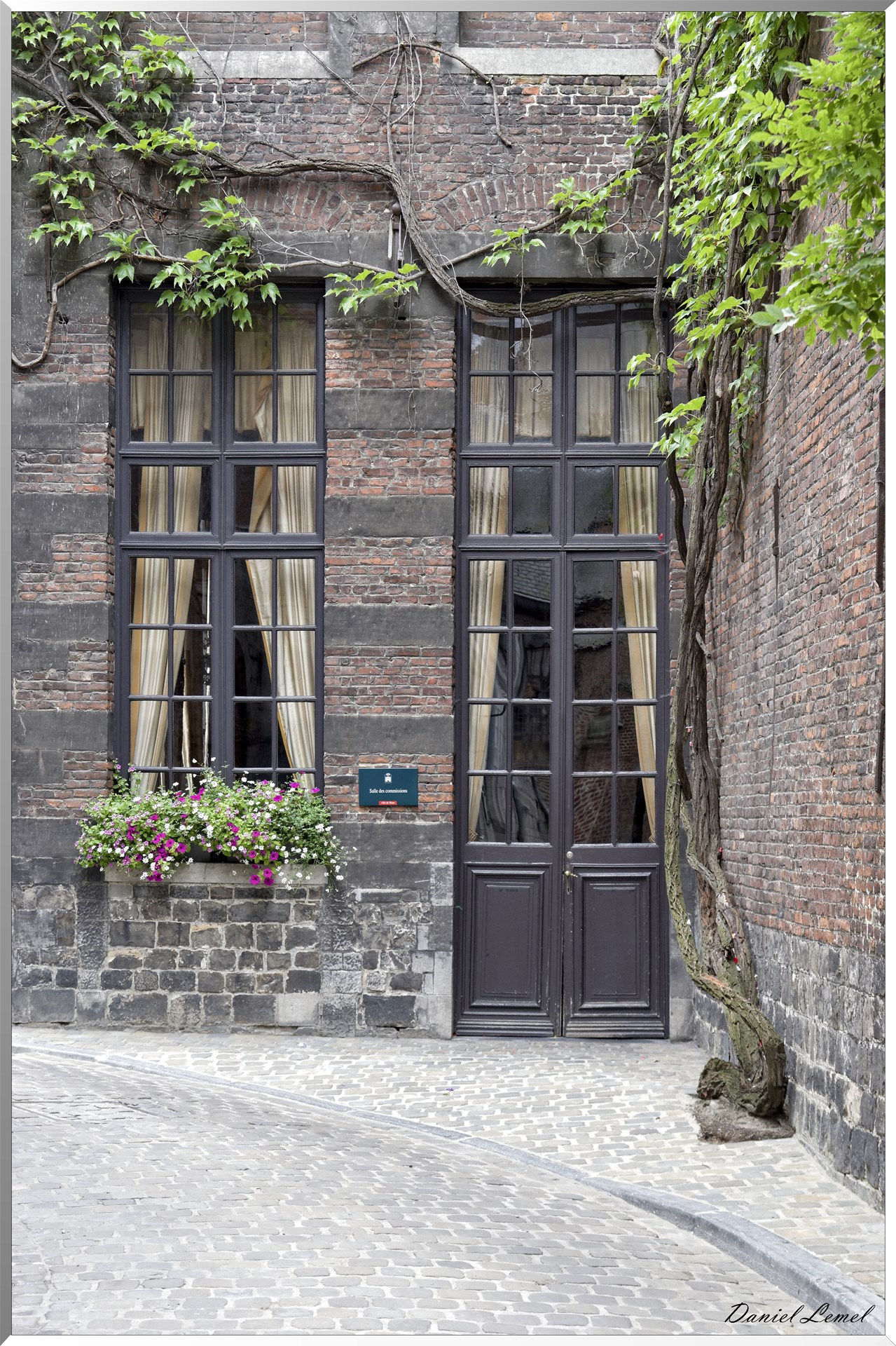 Porte et fenêtre