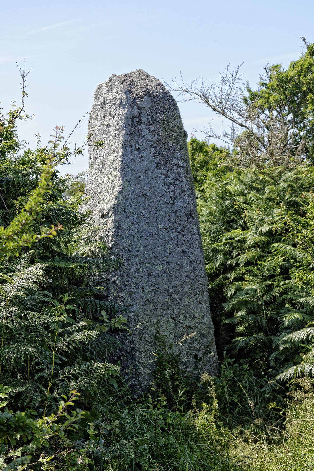 Menhirs Et Dolmen