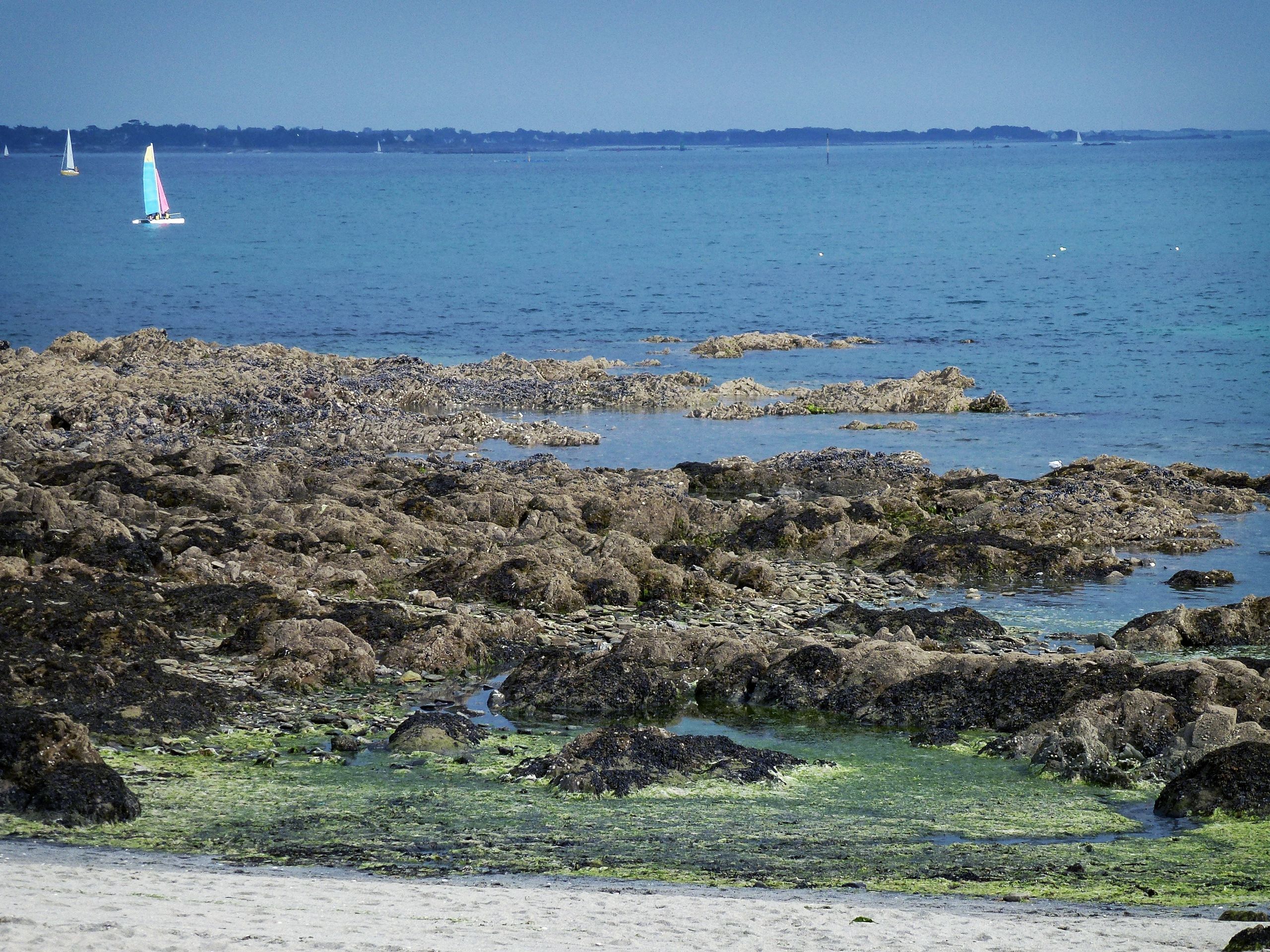 Pointe du Cap-Coz