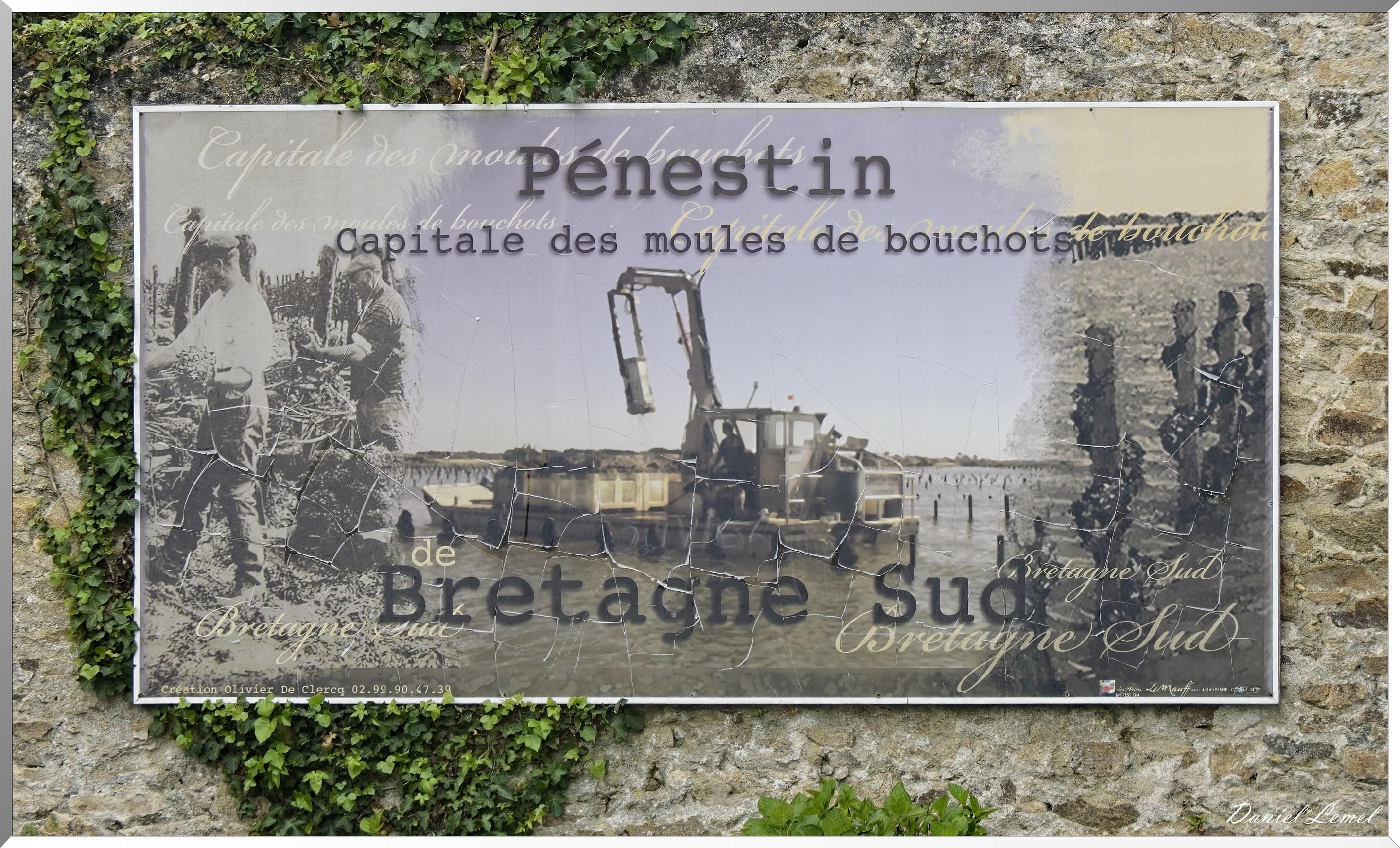 Penestin