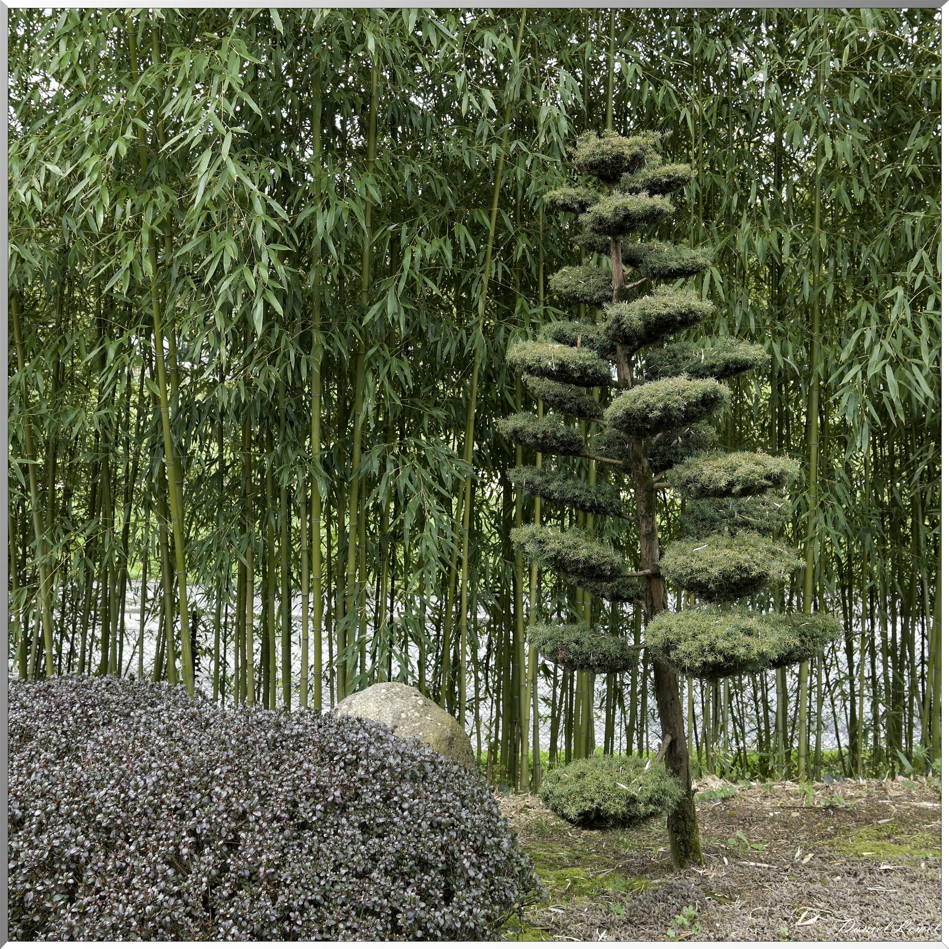 Parc Oriental de Maulévrier au printemps