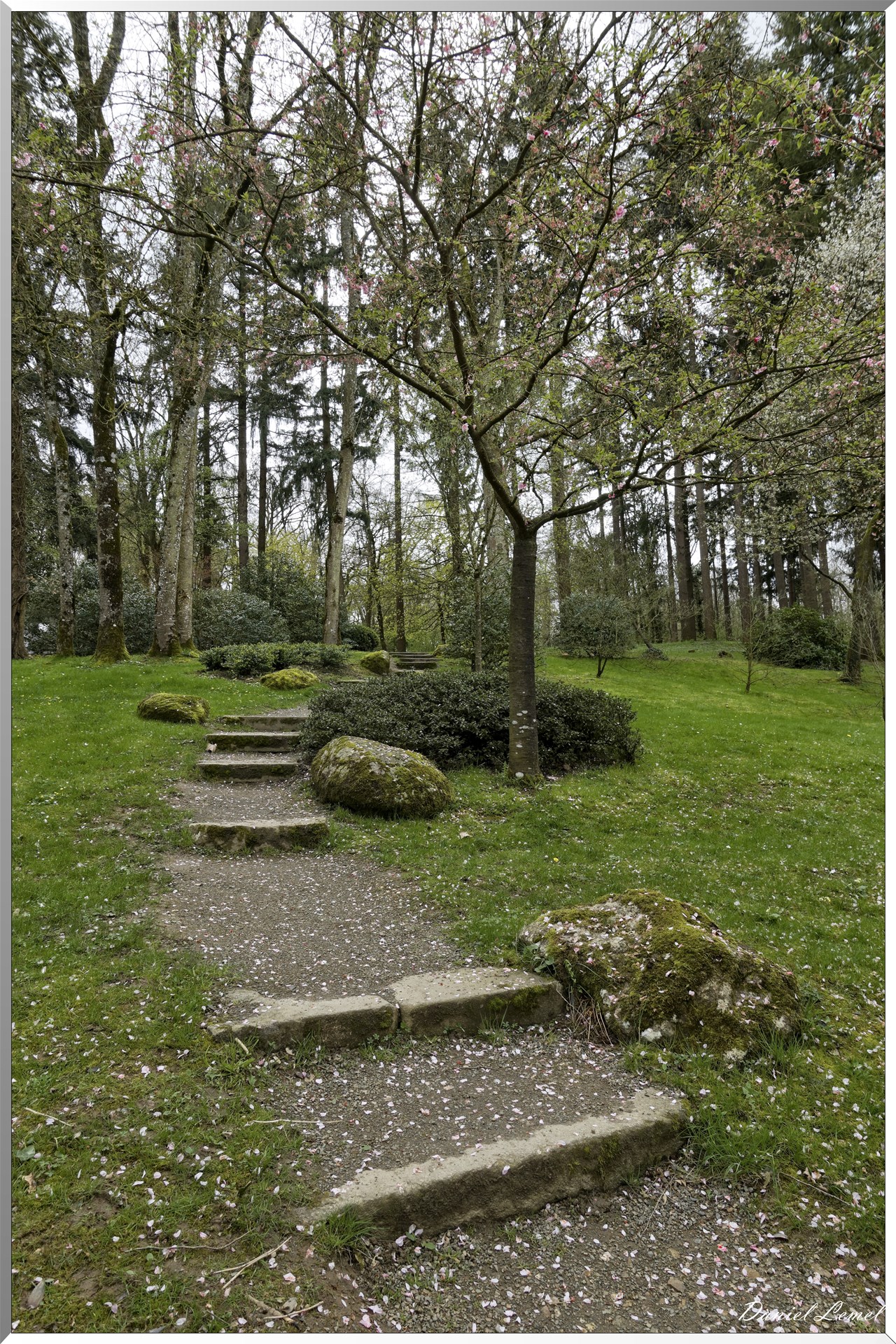 Parc Oriental de Maulévrier au printemps