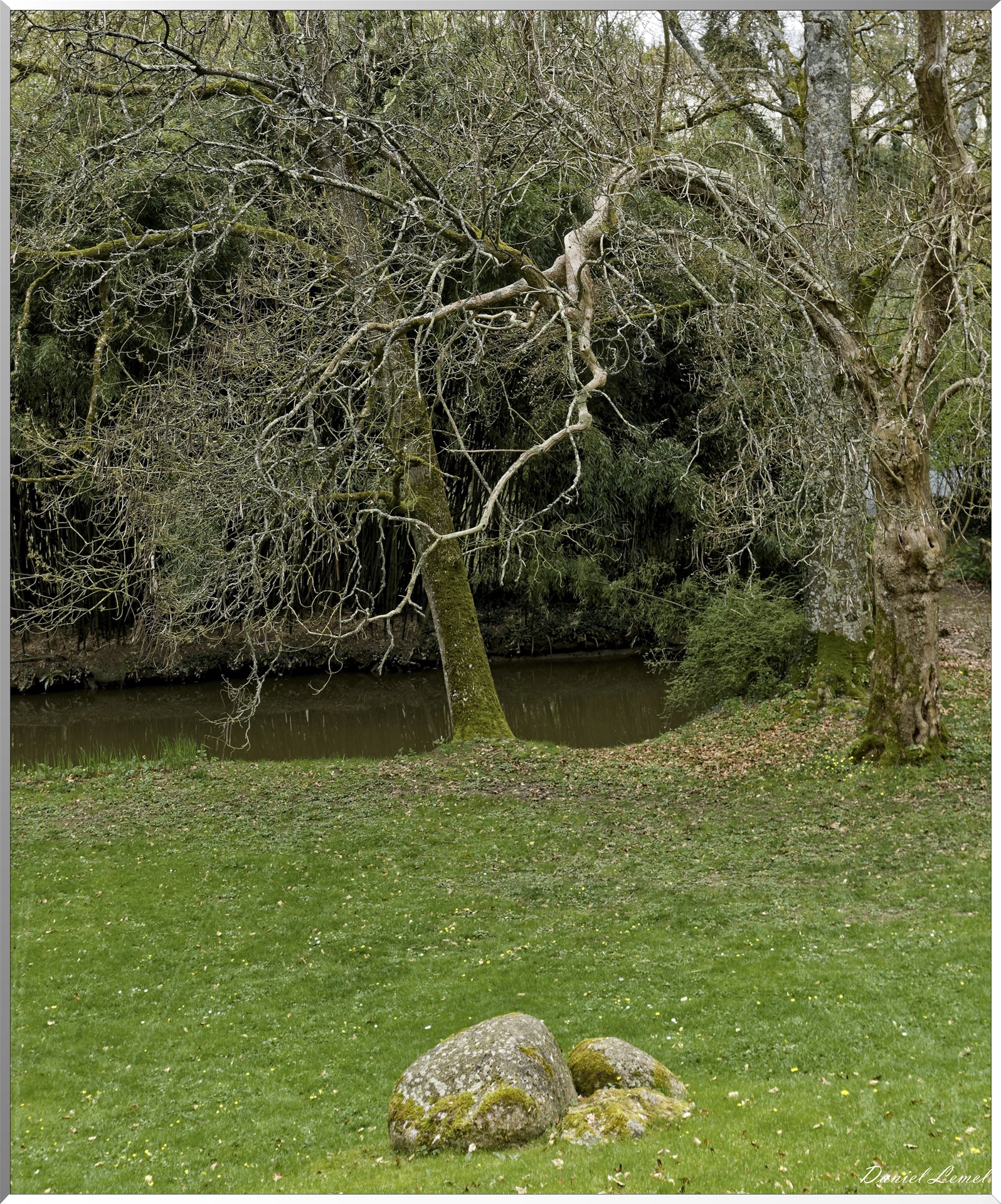 Parc Oriental de Maulévrier au printemps