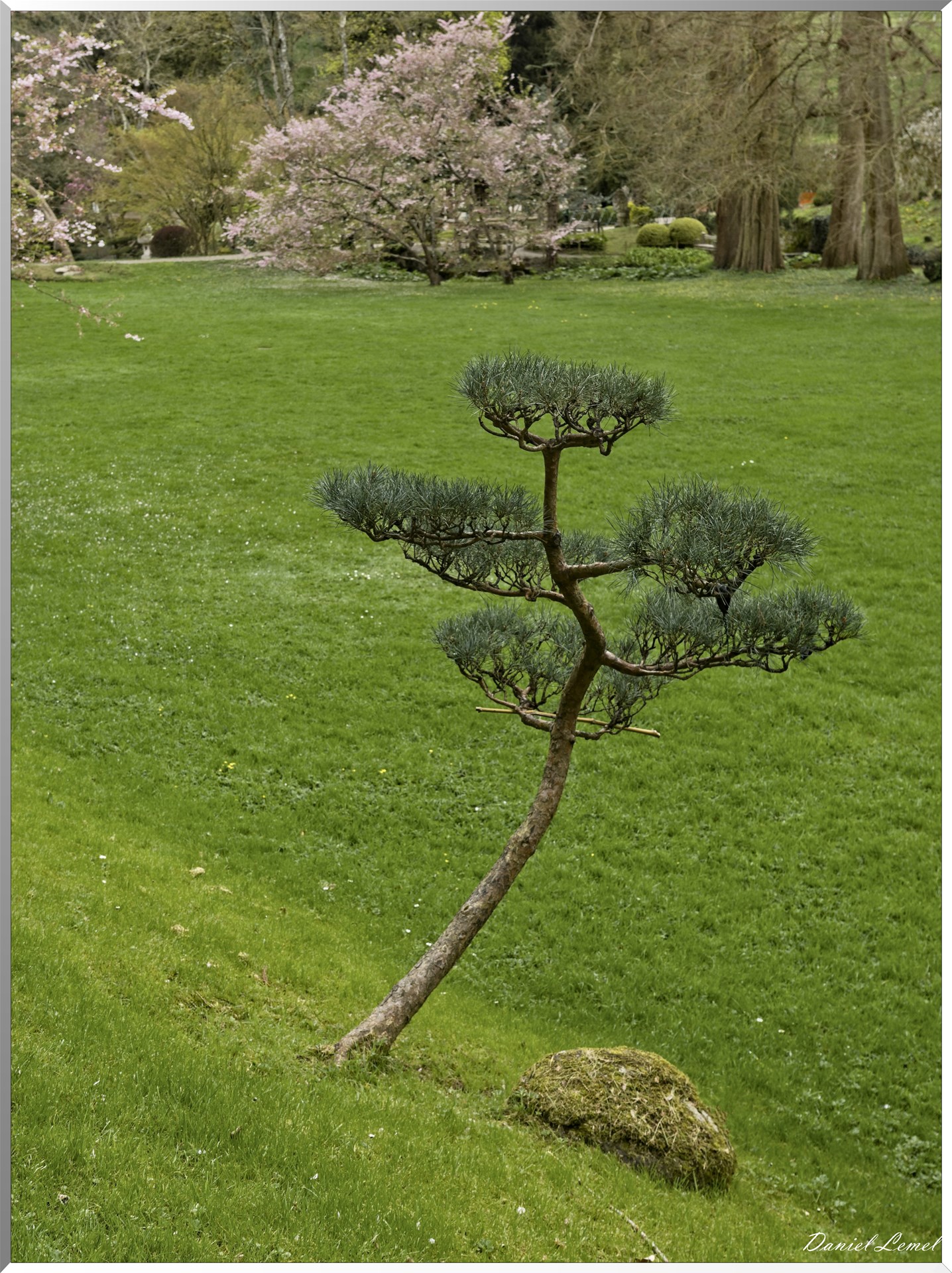 Parc Oriental de Maulévrier au printemps