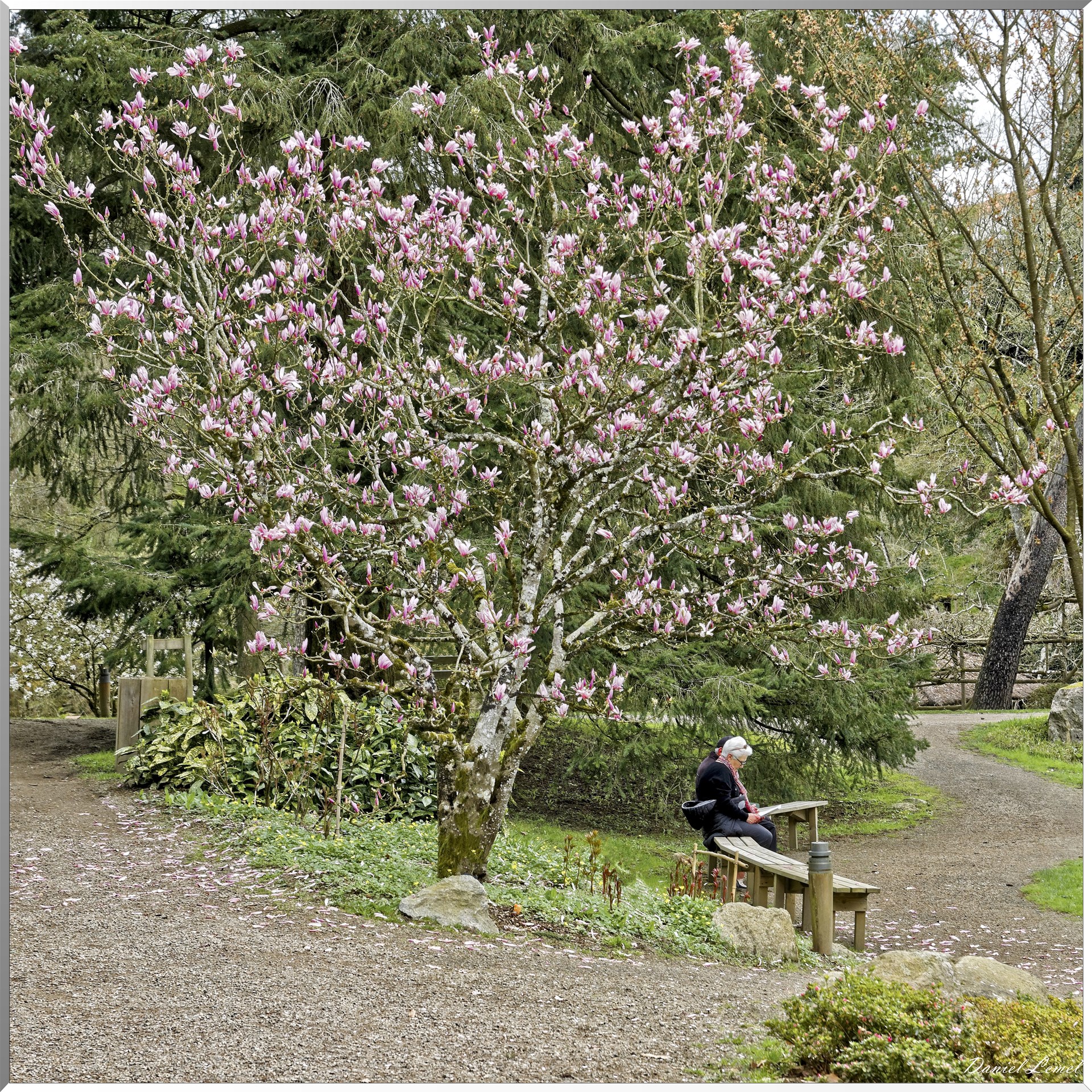 Parc Oriental de Maulévrier au printemps