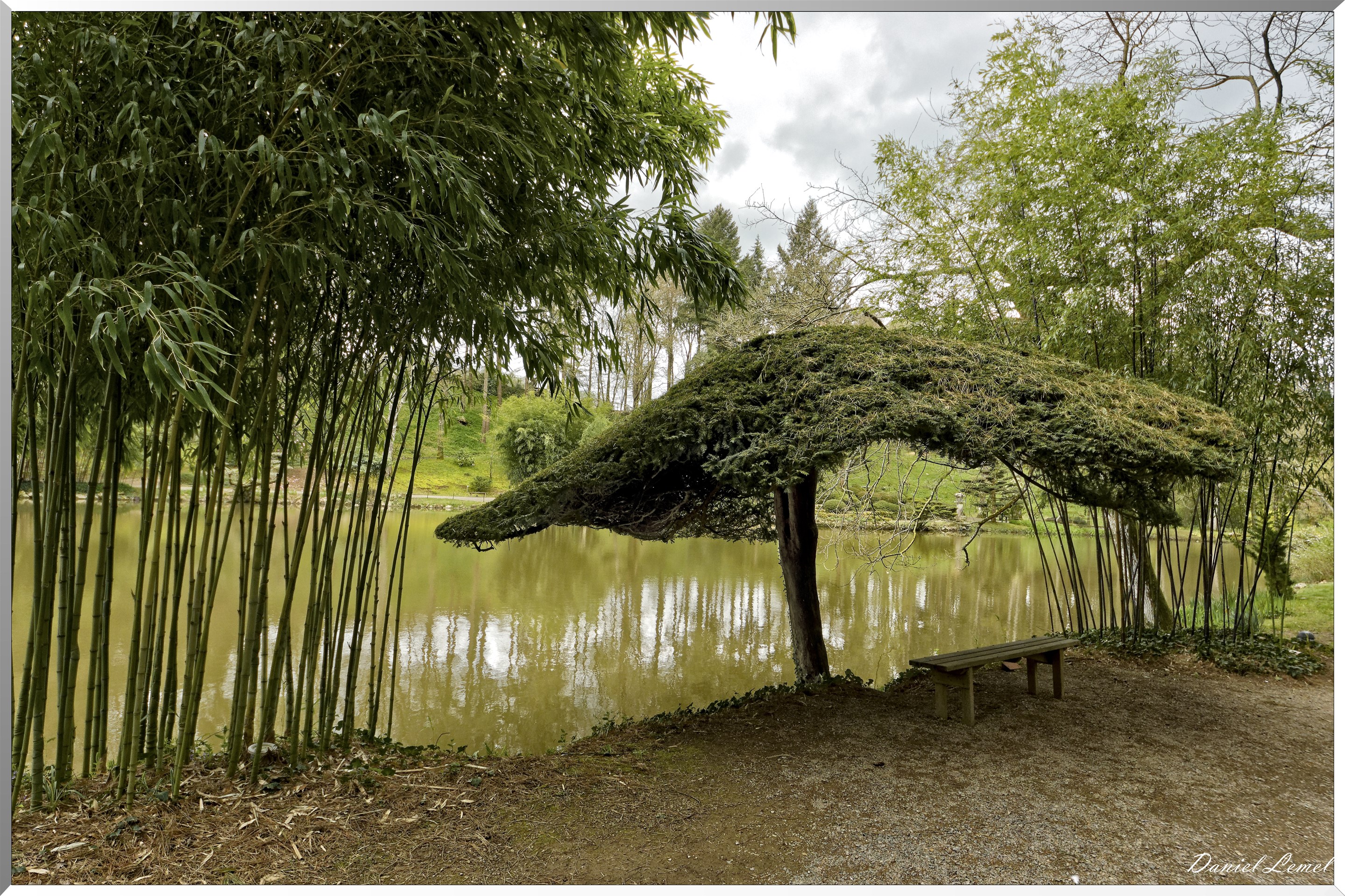 Parc Oriental de Maulévrier au printemps