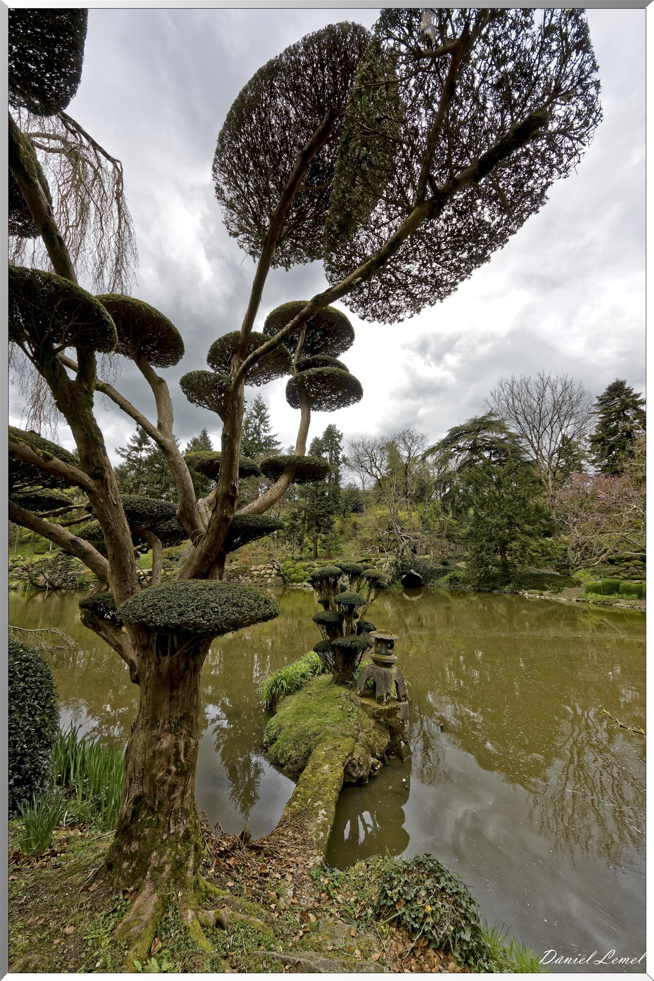Parc Oriental de Maulévrier au printemps