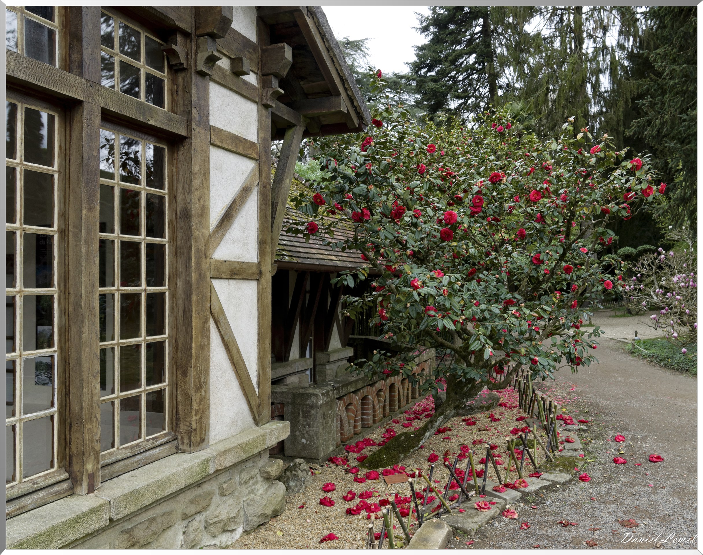Parc Oriental de Maulévrier au printemps