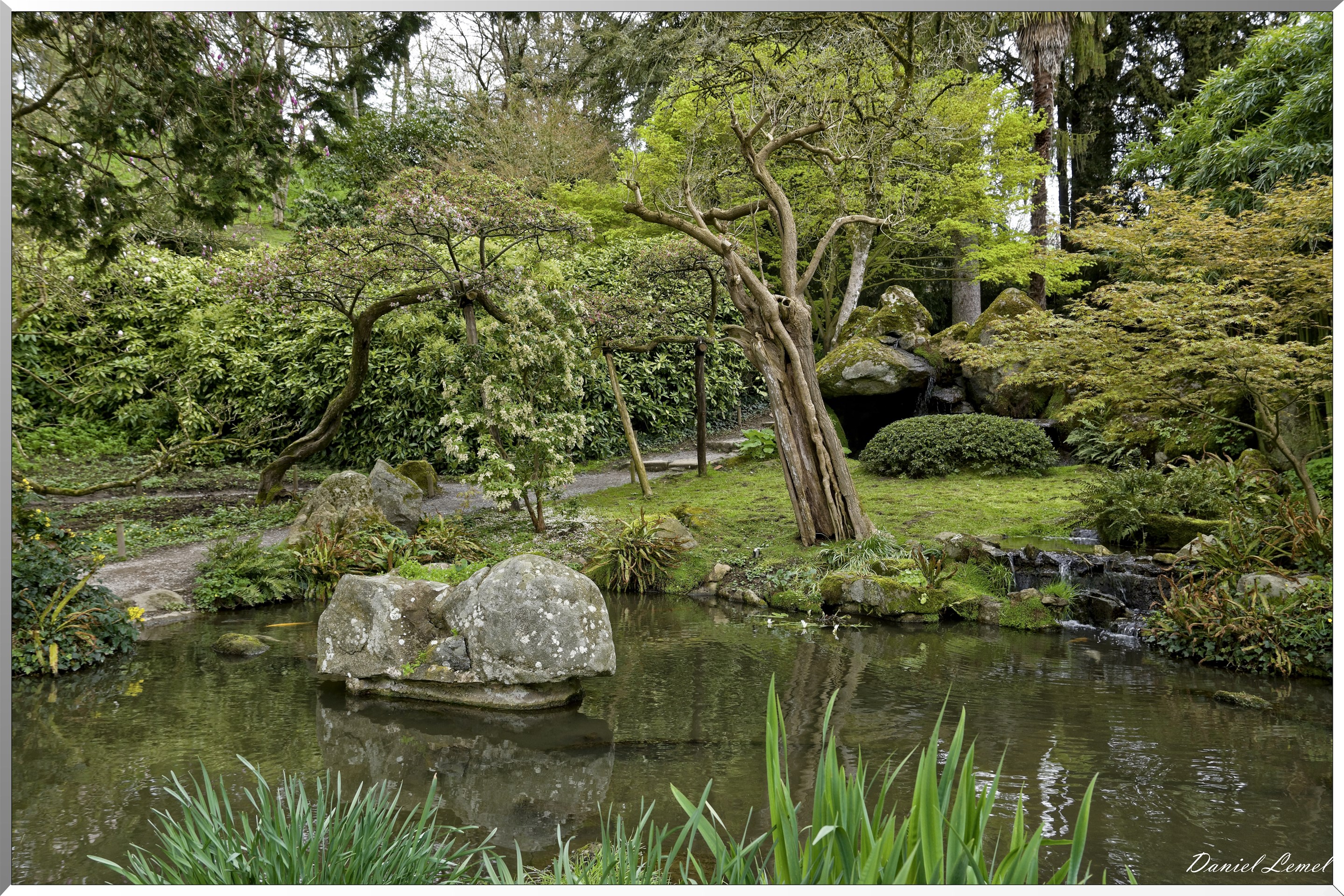 Parc Oriental de Maulévrier au printemps