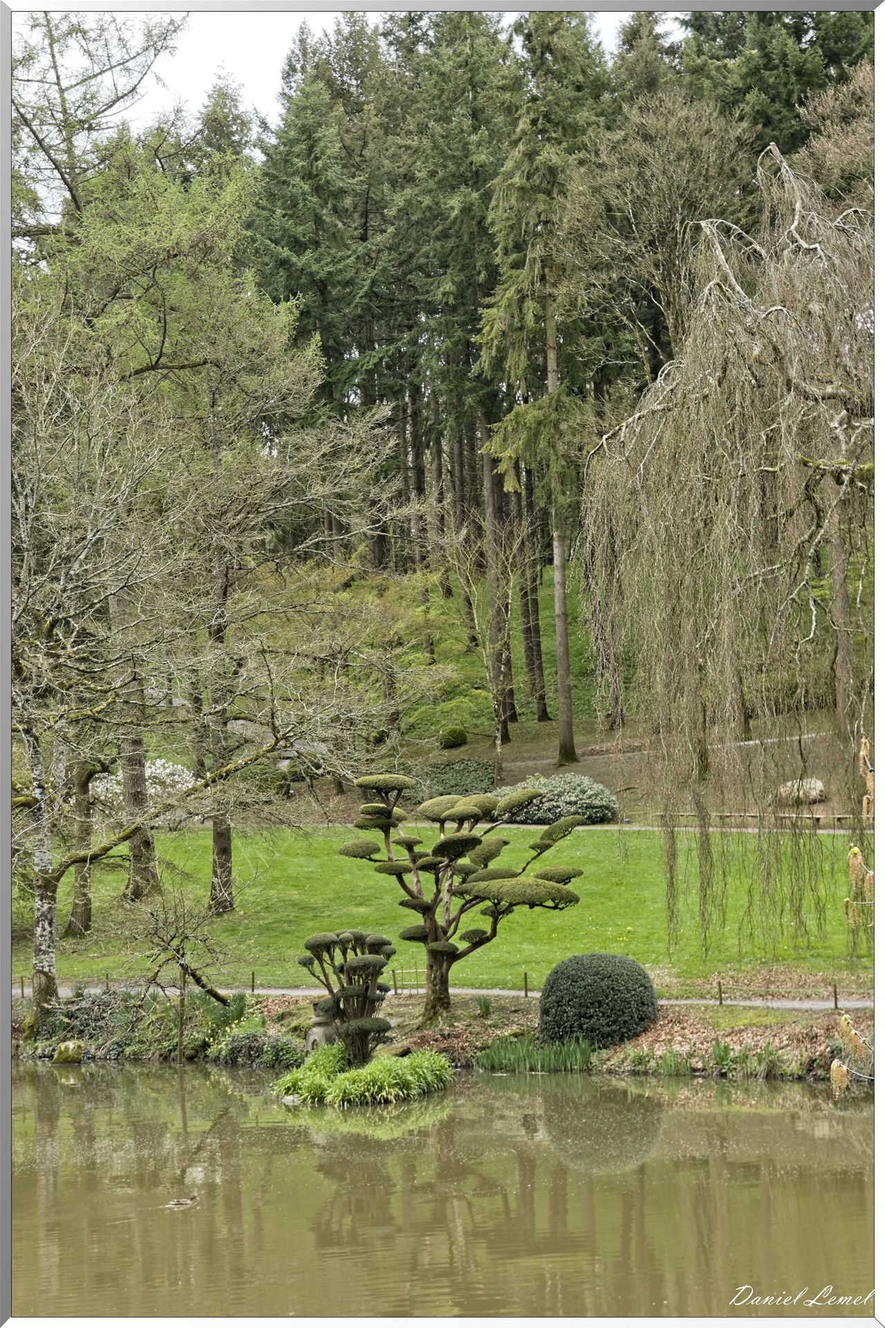Parc Oriental de Maulévrier au printemps