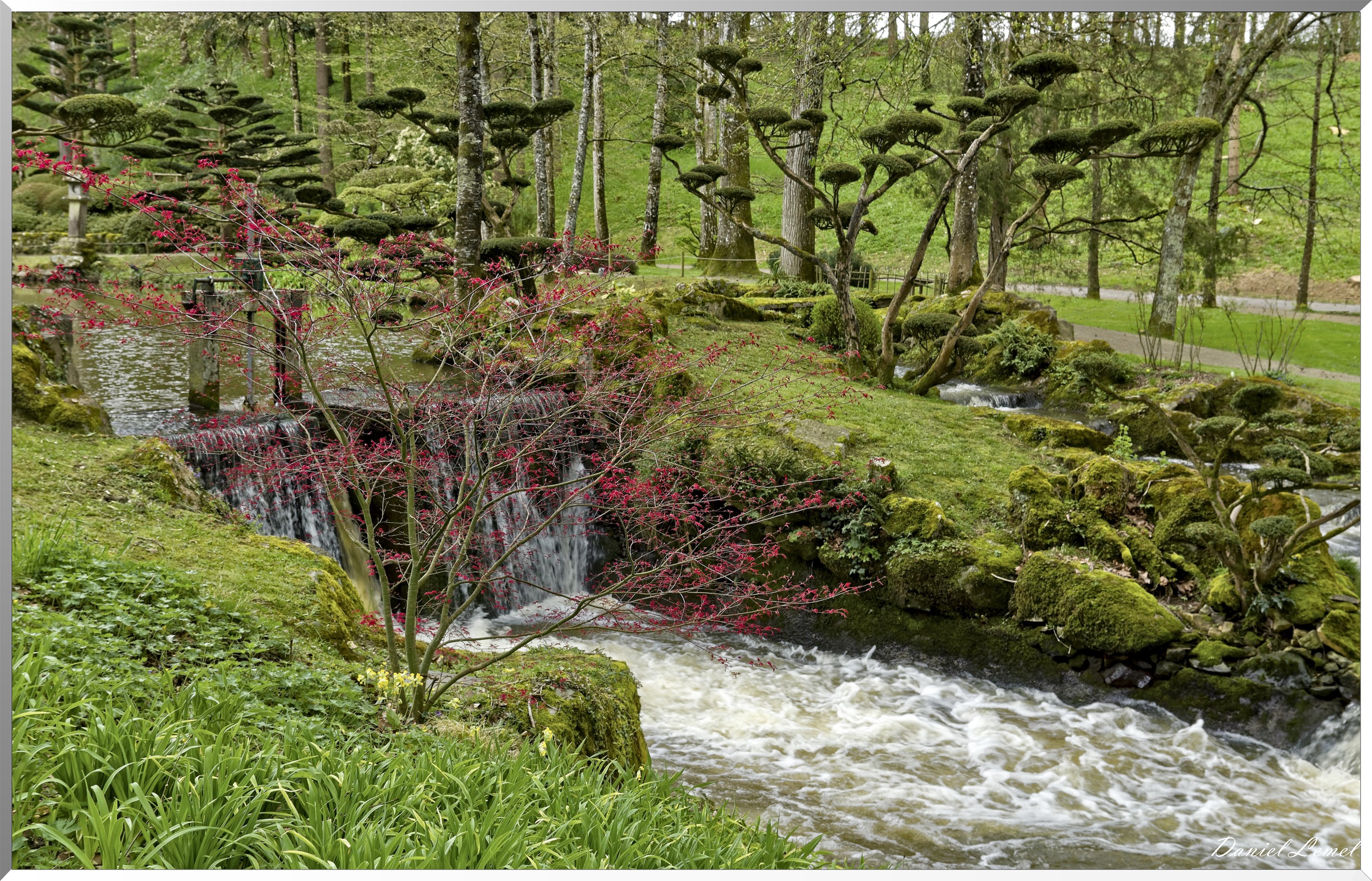 Parc Oriental de Maulévrier au printemps