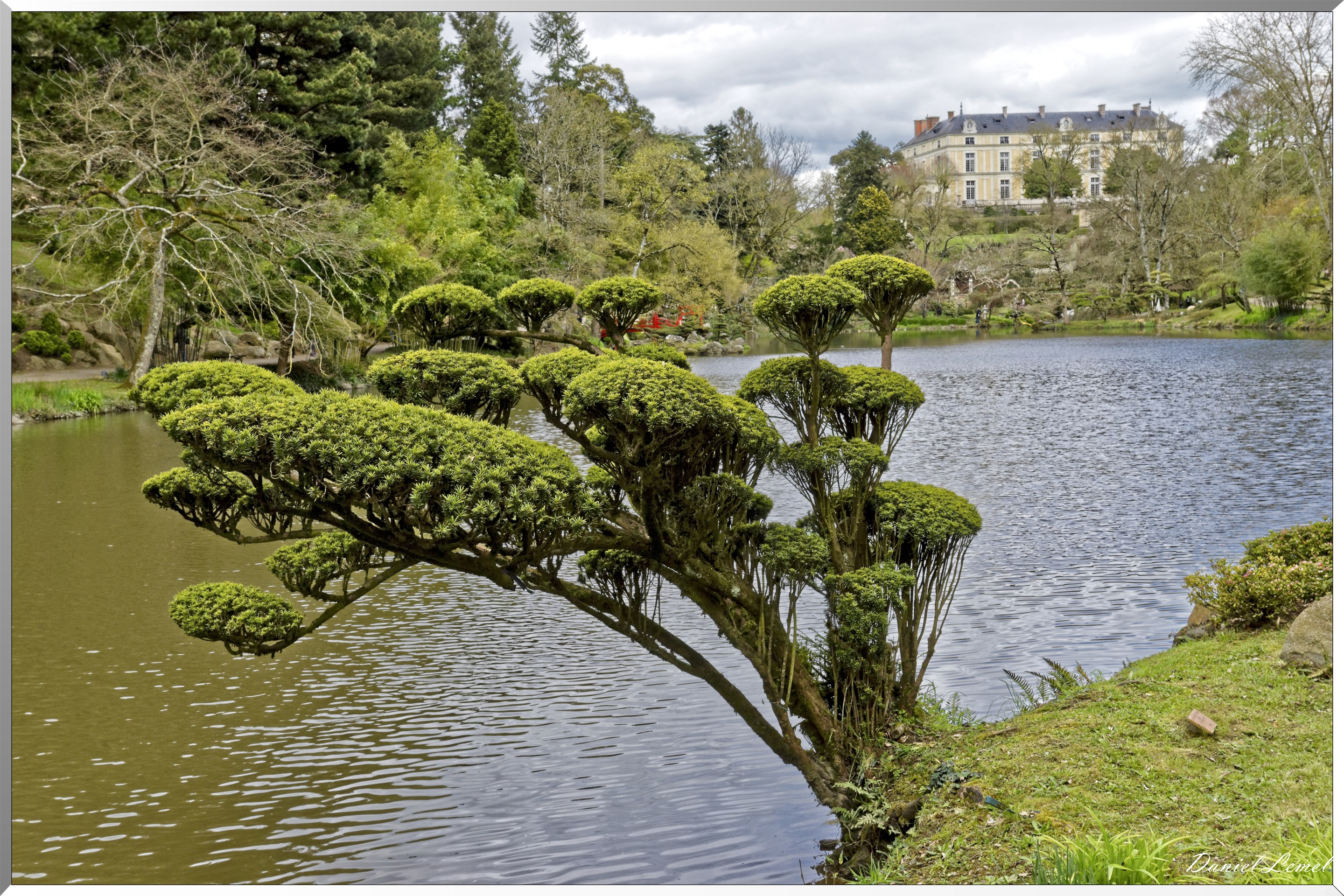 Parc Oriental de Maulévrier au printemps