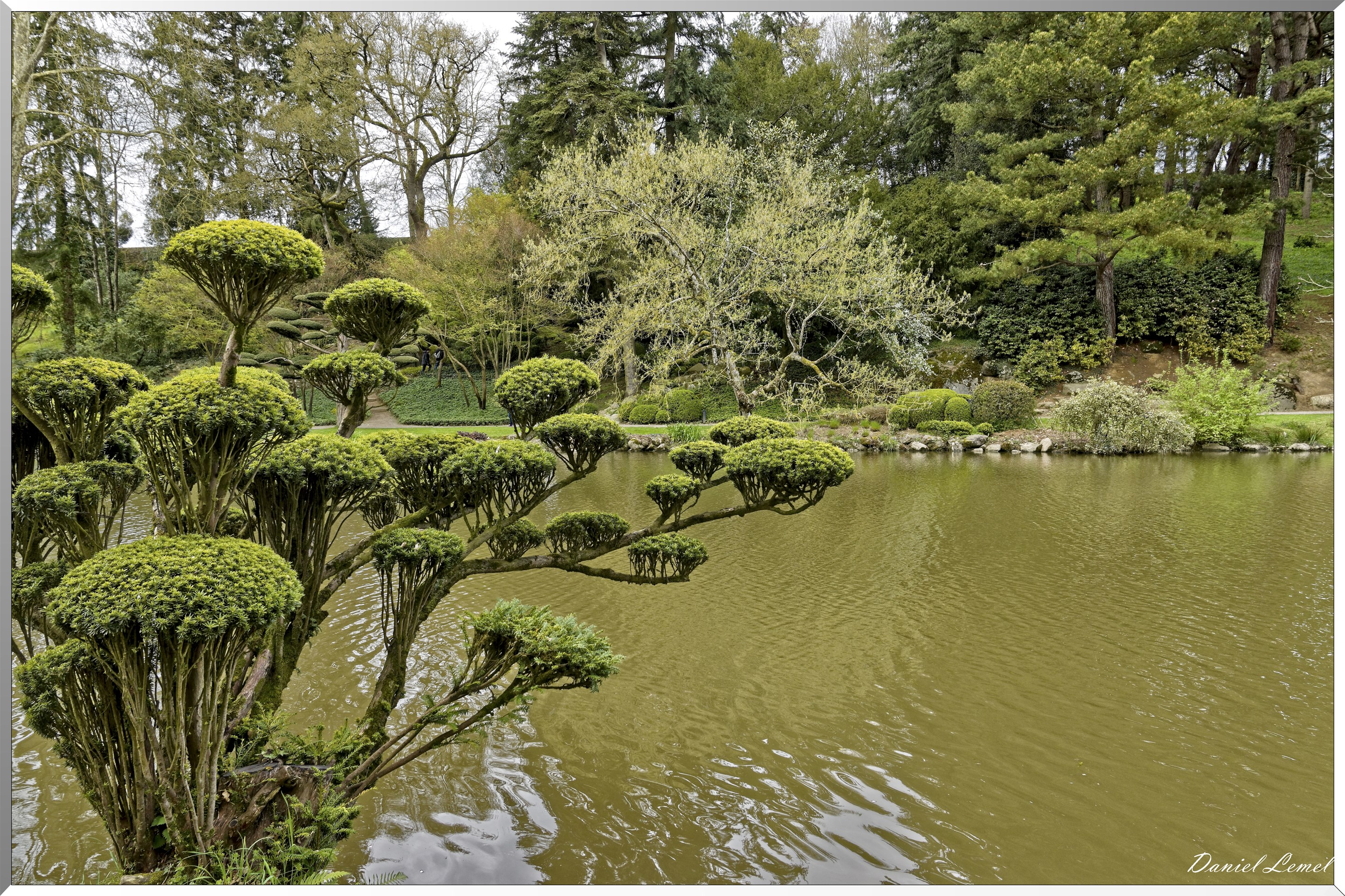 Parc Oriental de Maulévrier au printemps