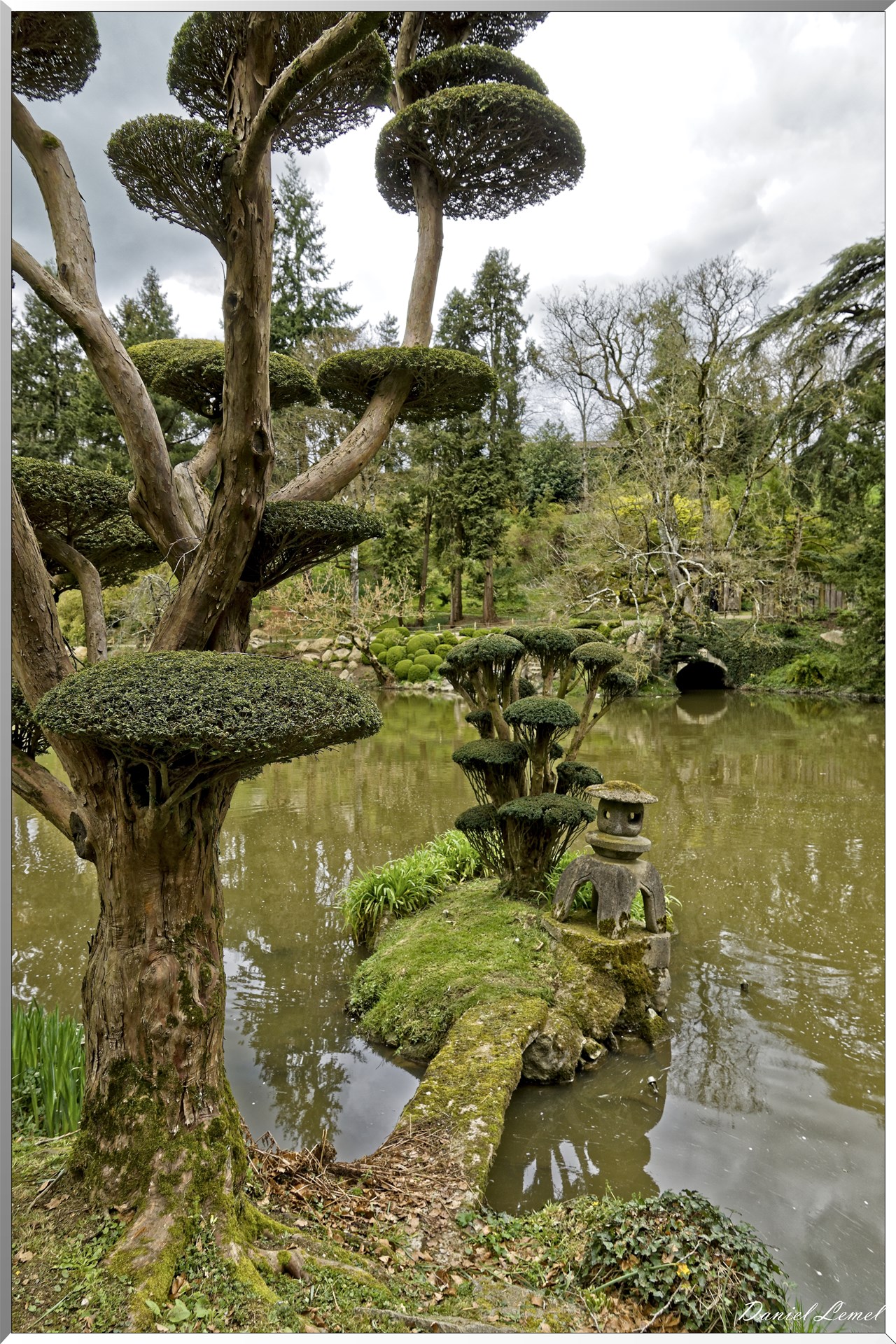 Parc Oriental de Maulévrier au printemps