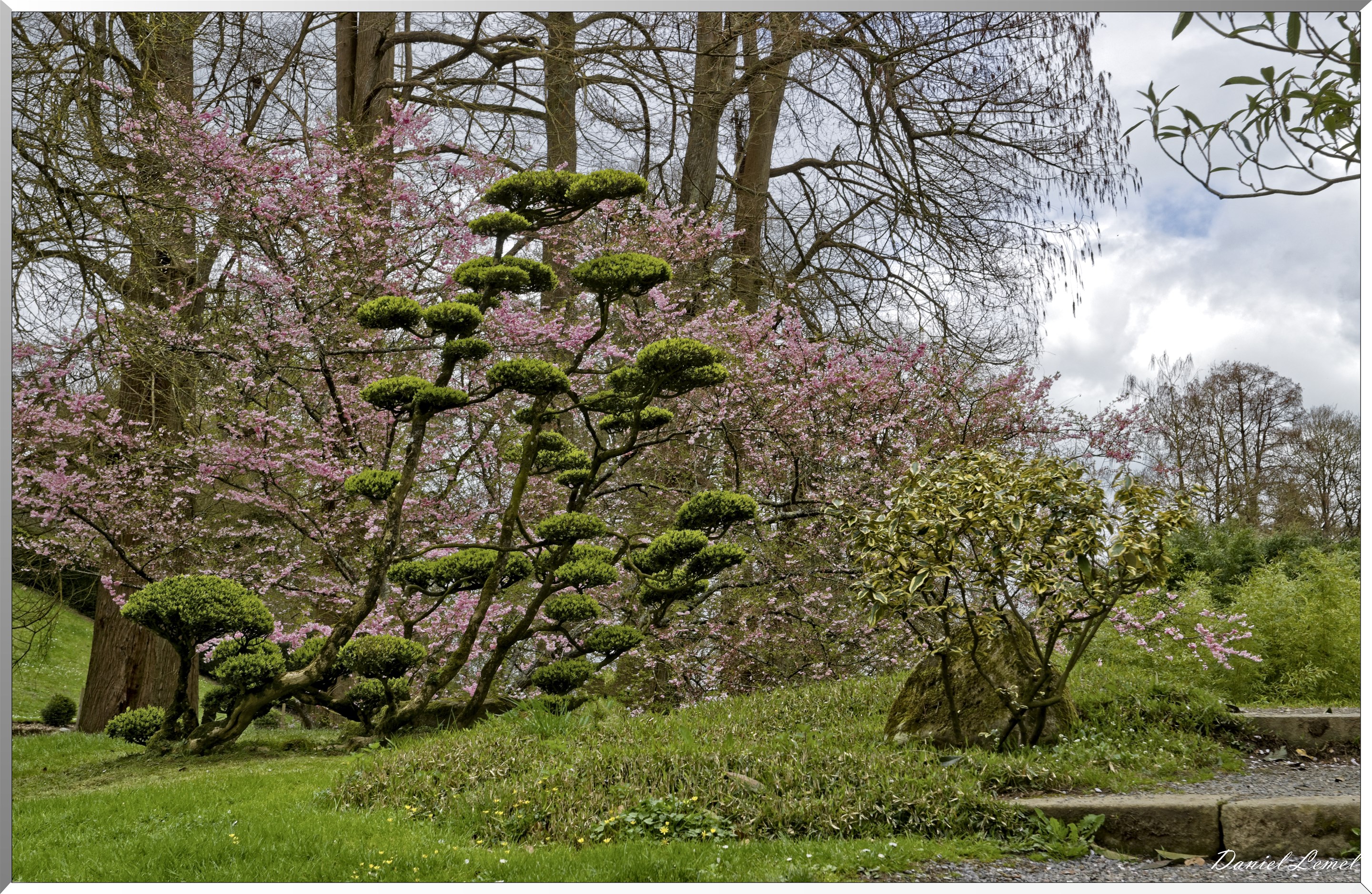 Parc Oriental de Maulévrier au printemps