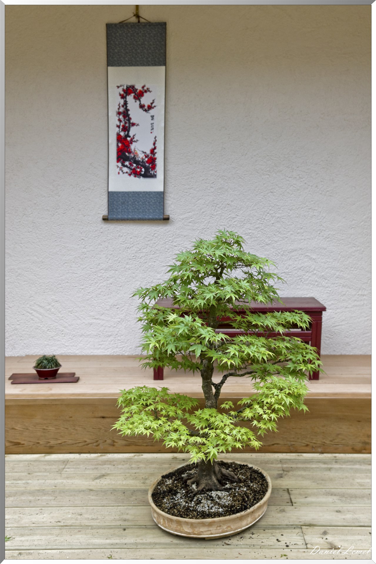 Parc Oriental de Maulévrier au printemps