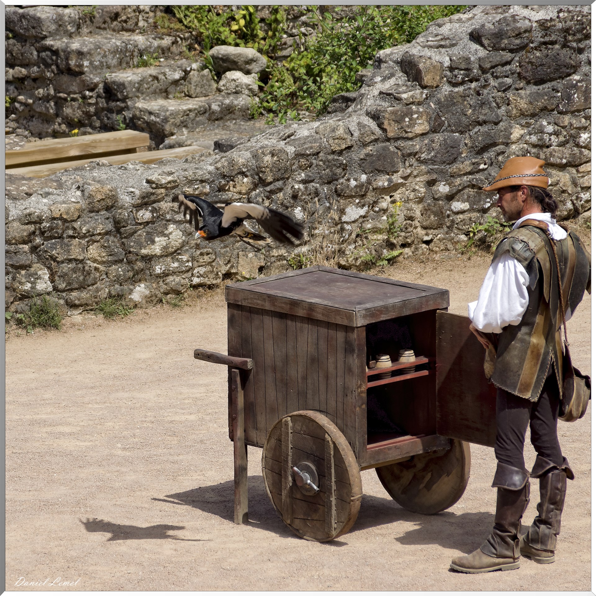 Le Bal des Oiseaux Fantômes
