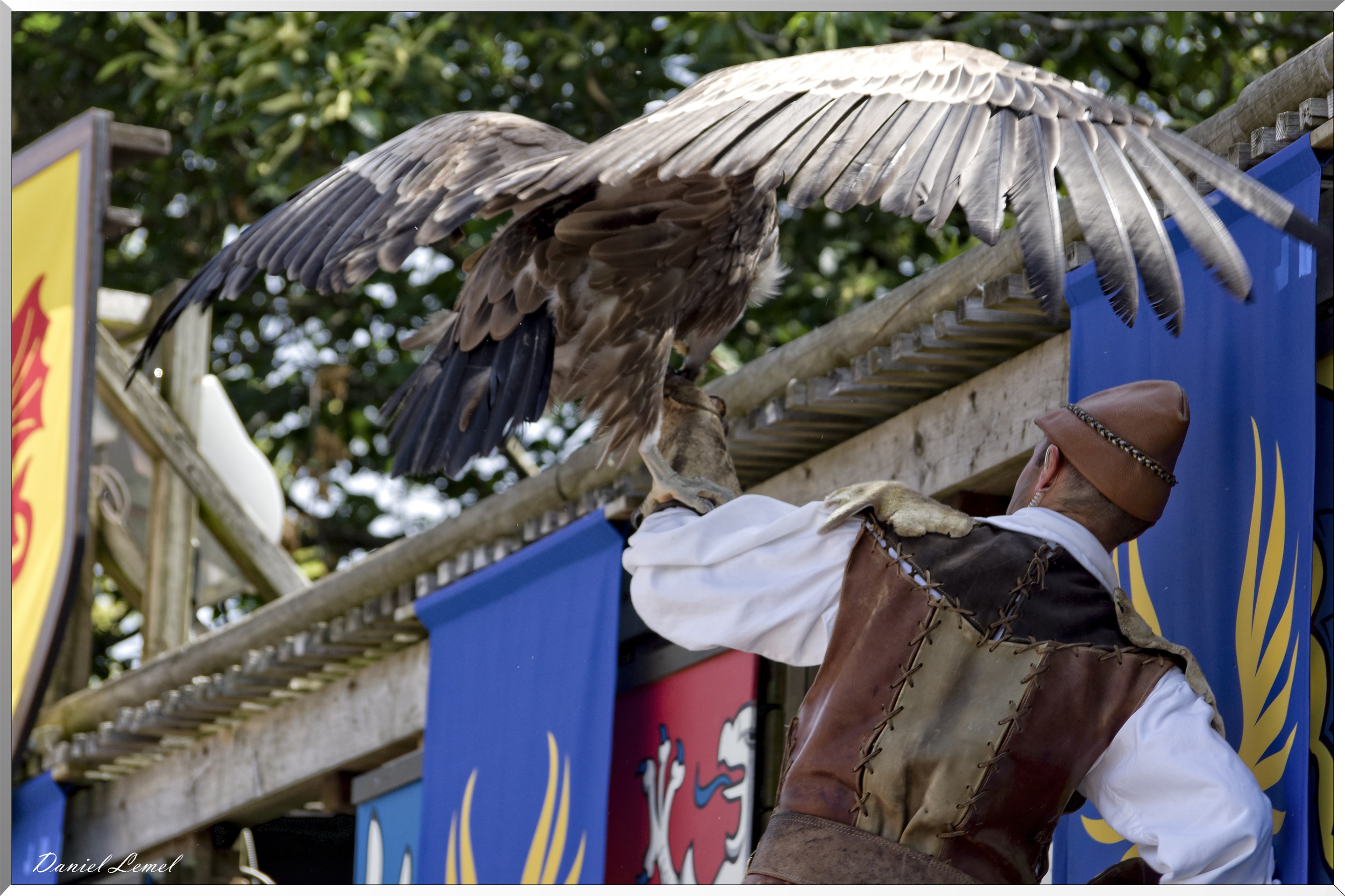 Le Bal des Oiseaux Fantômes
