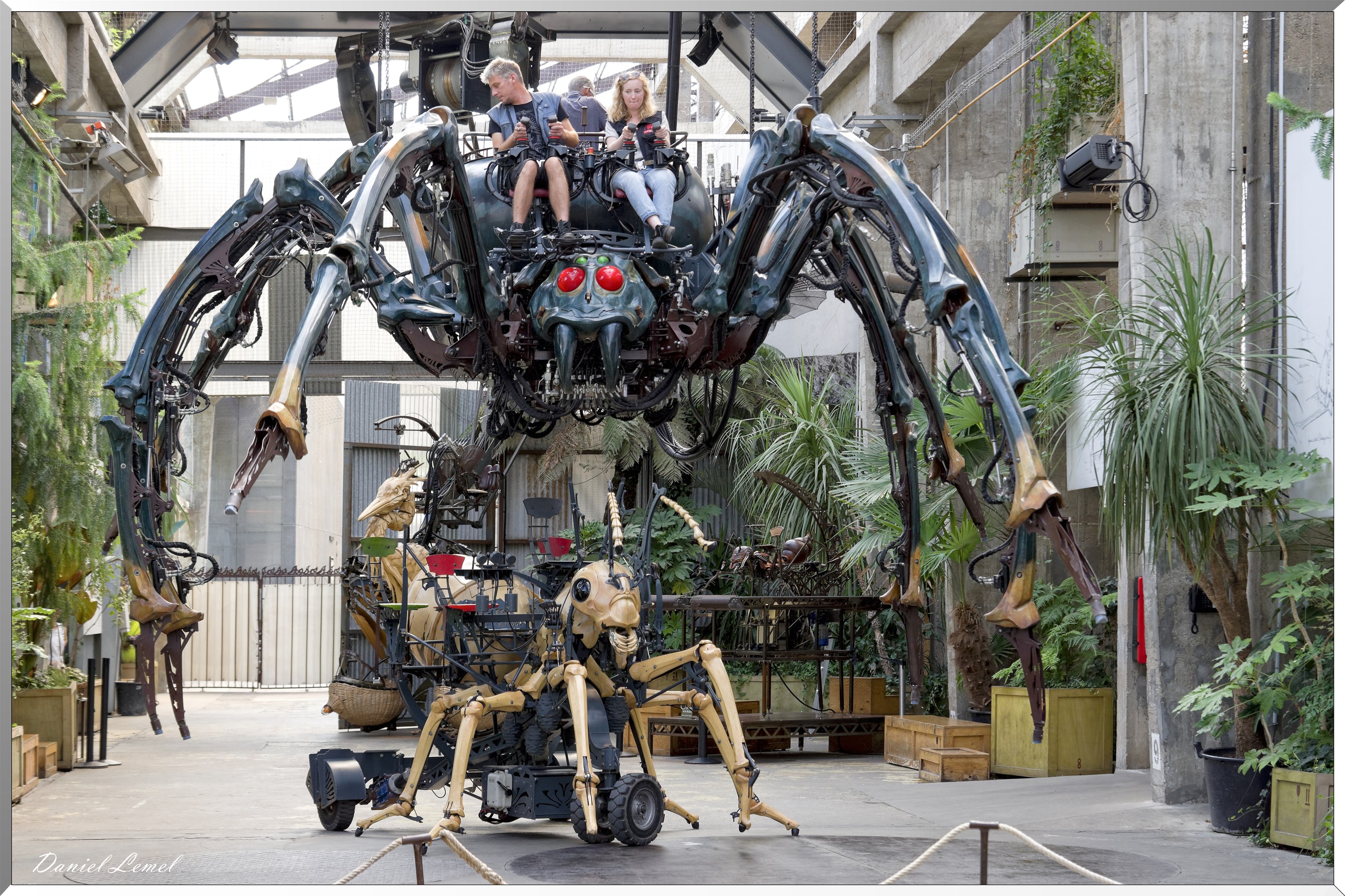 Les machines de l'ile