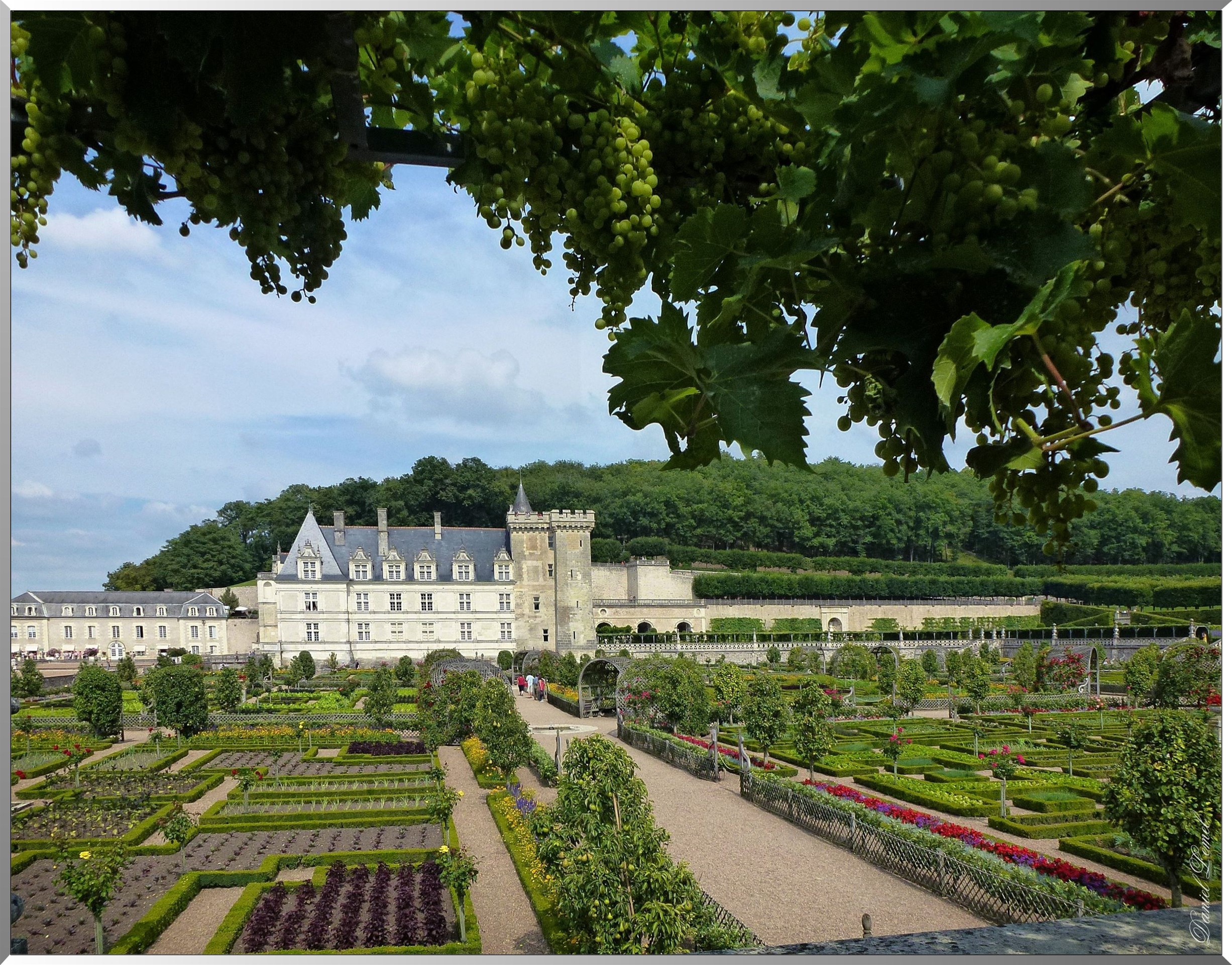 Chateau de villandry 4