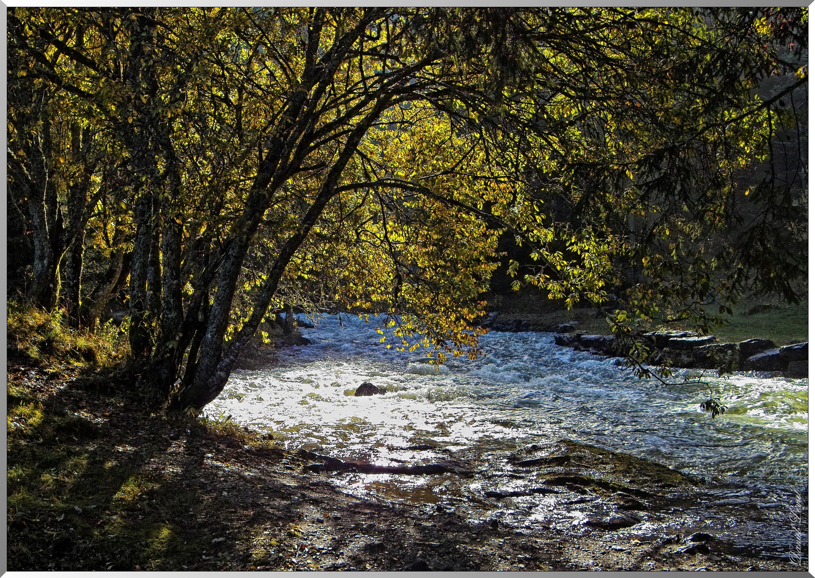 Le Doubs à sa source