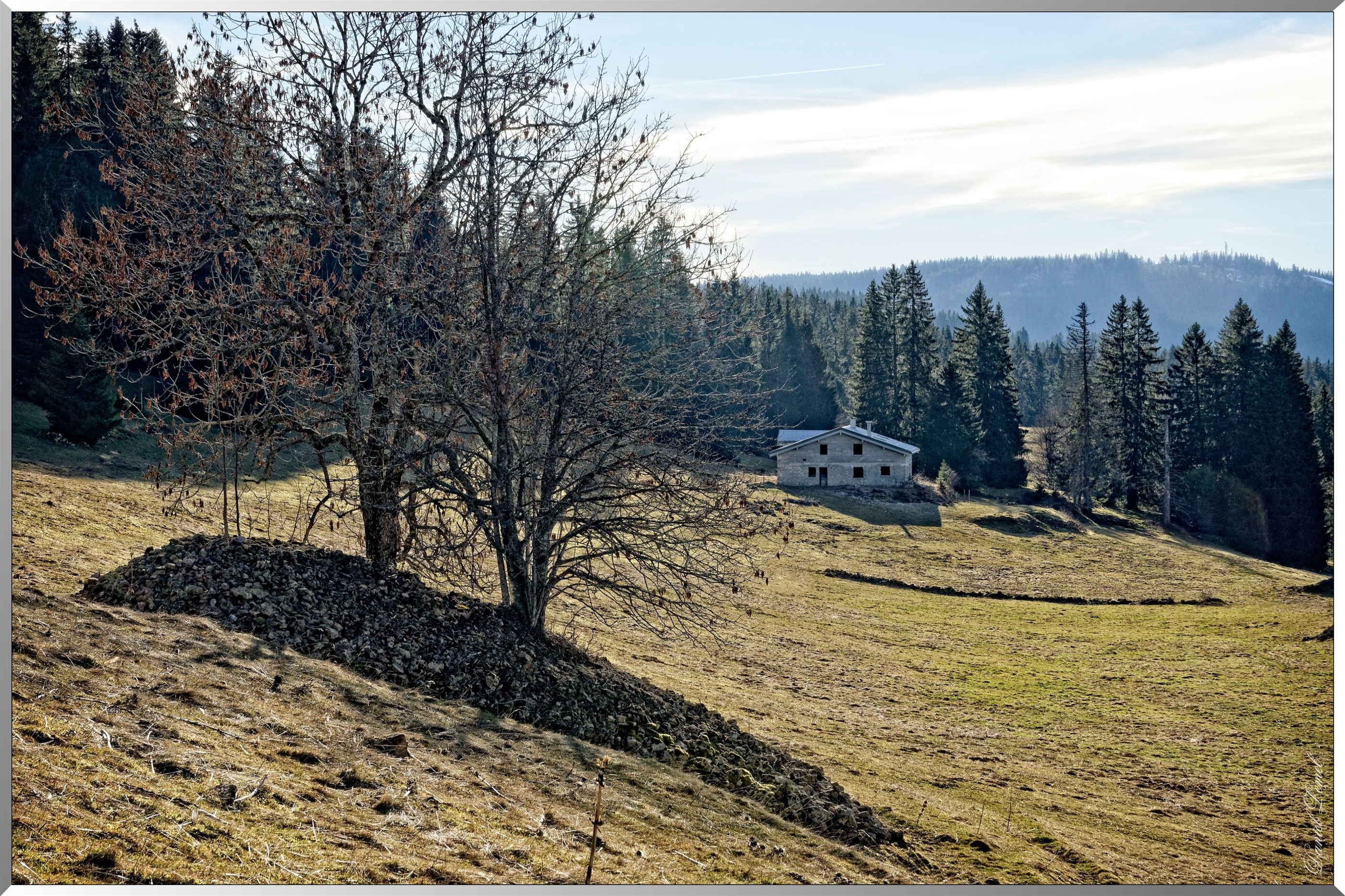 Paysage des Rousses