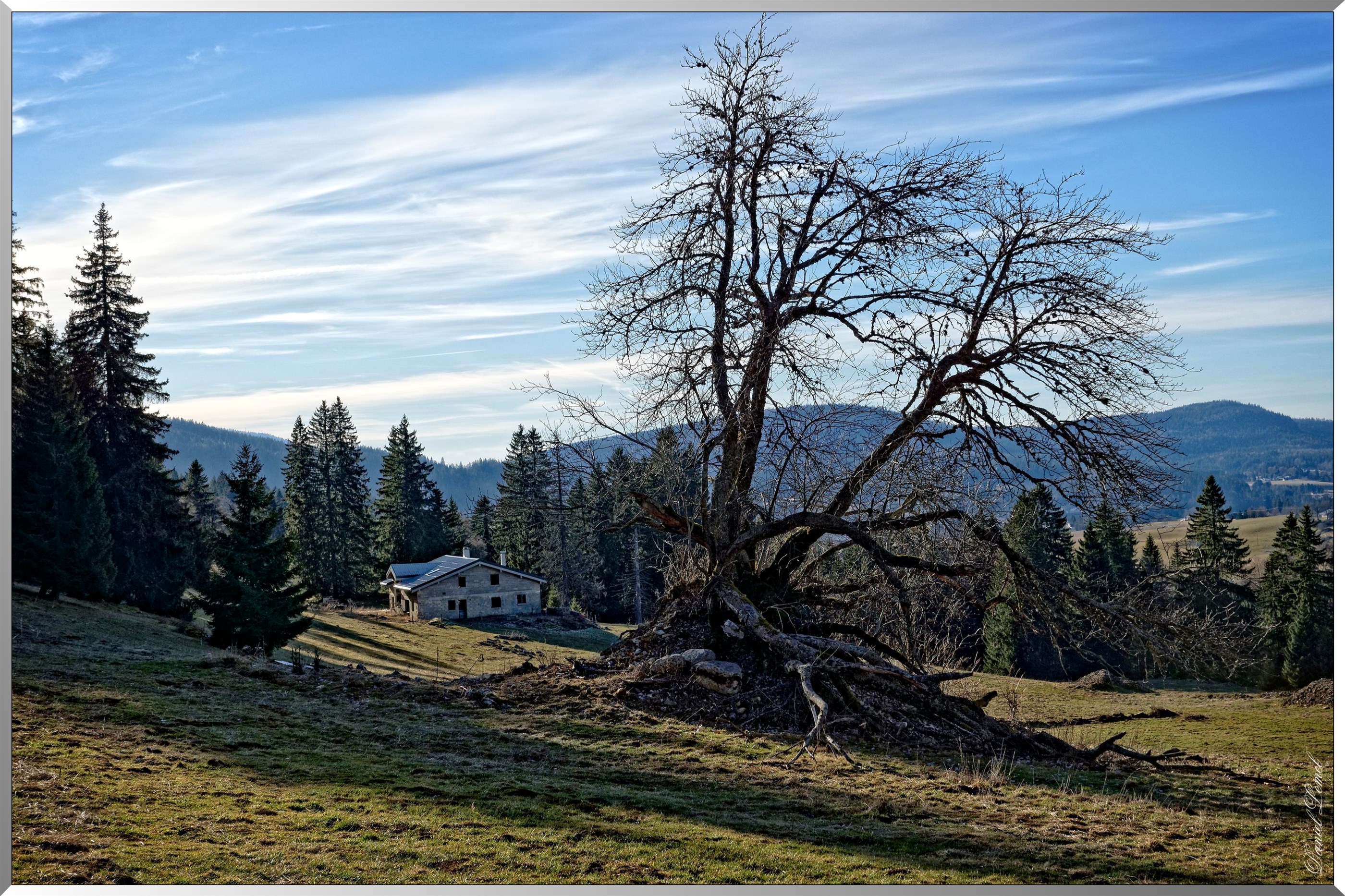 Paysage des Rousses