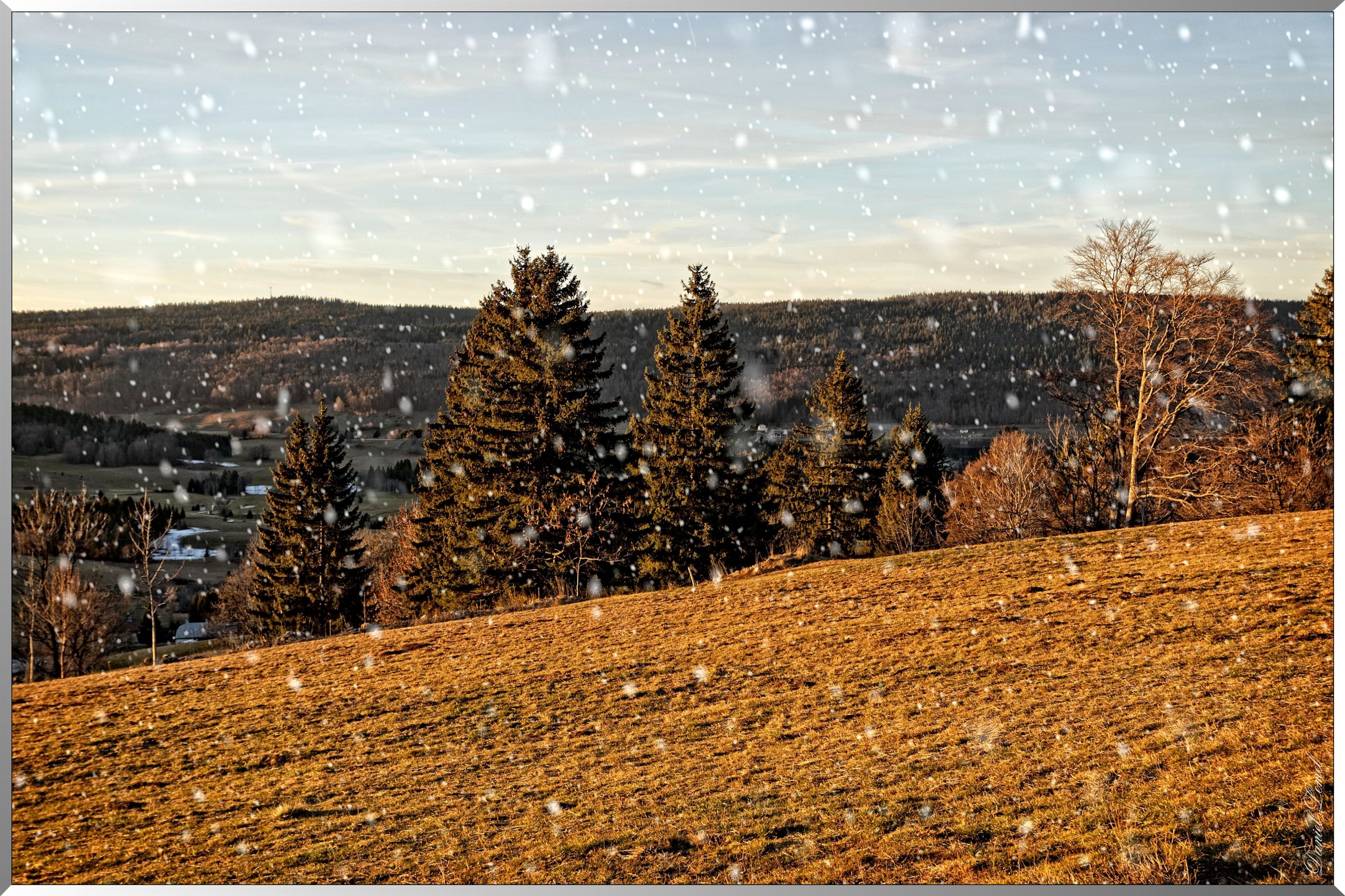 Paysage des Rousses