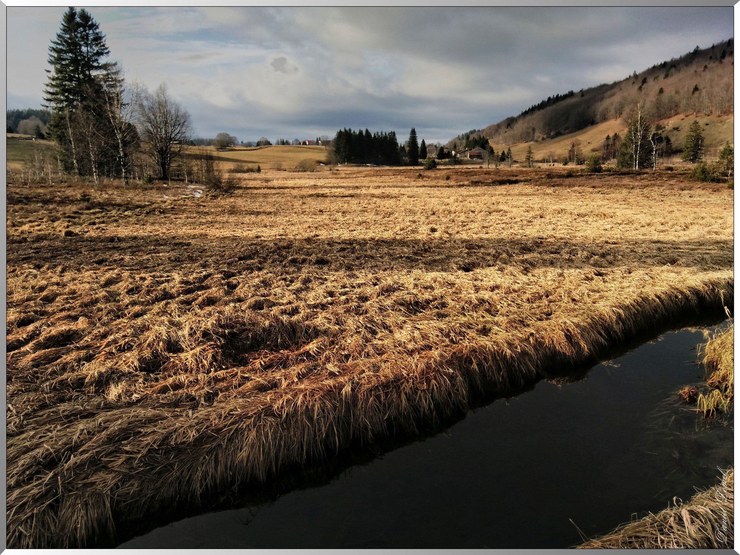 Paysage des Rousses