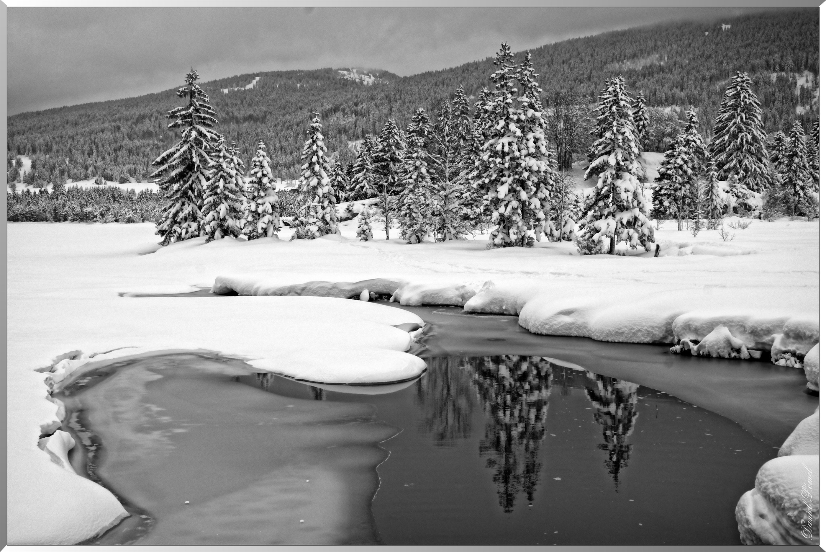 Le lac des Rousses