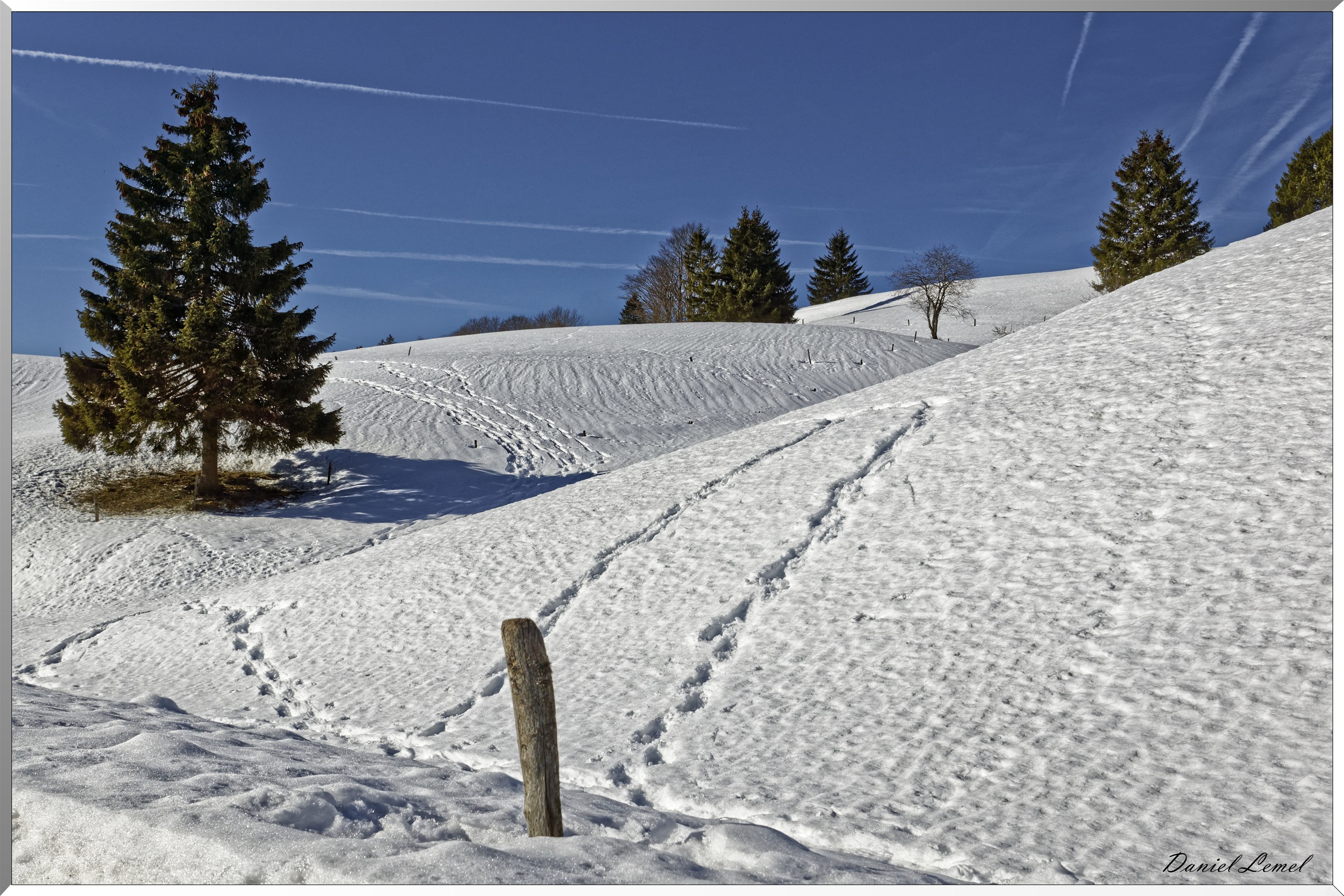 Chacun sa trace