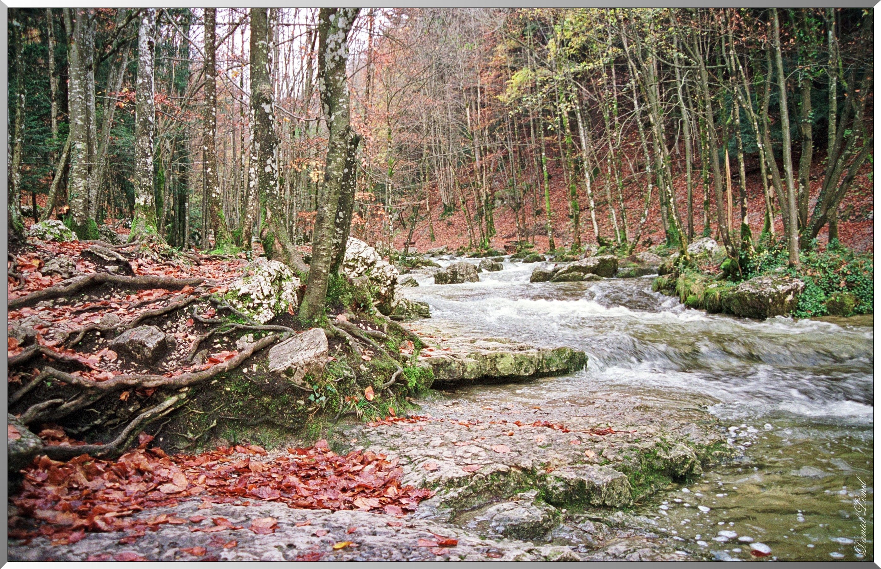 Le Hérisson