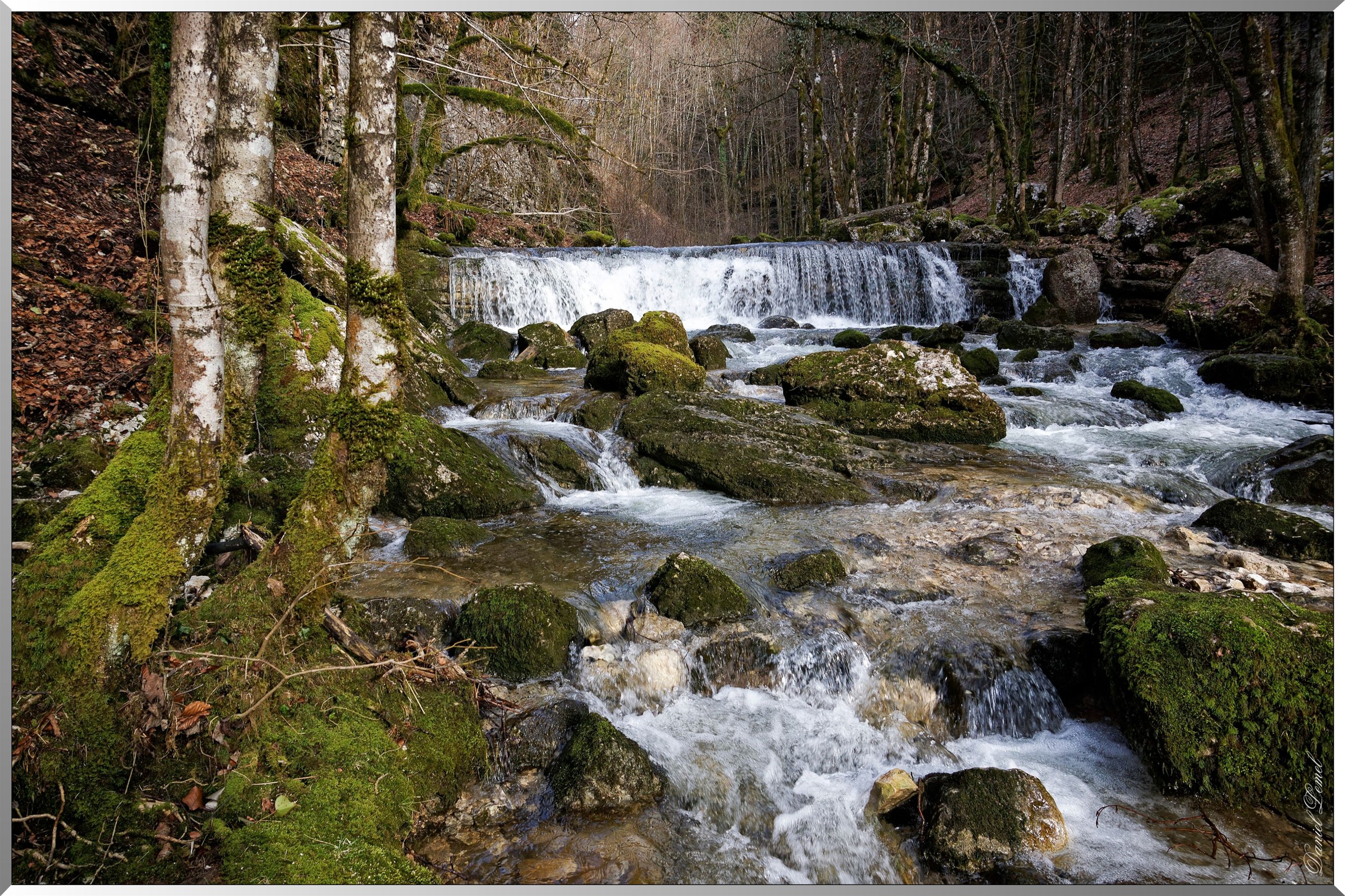 Torrent le Hérisson