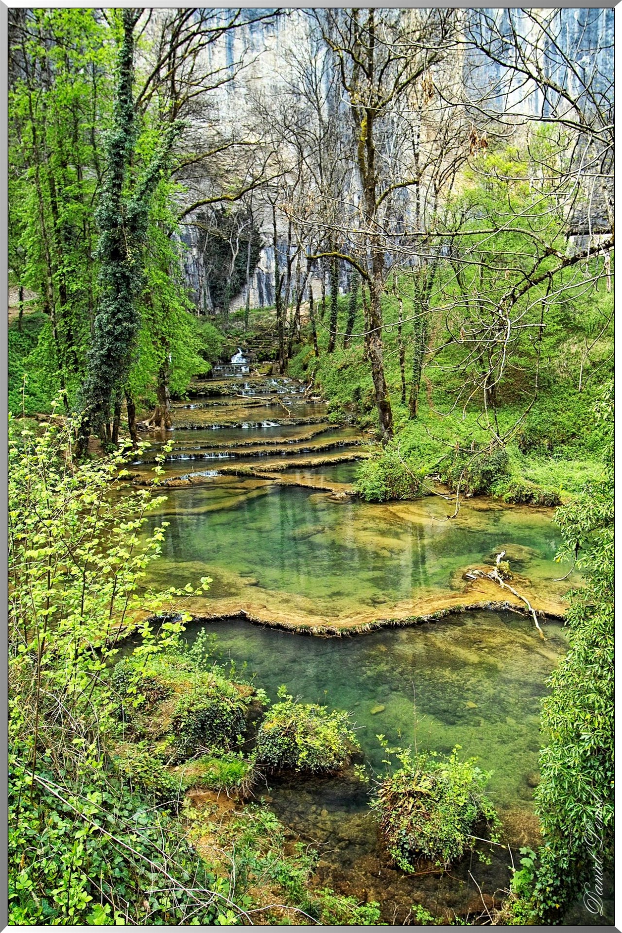 Cascade du Dard - Baume-les-Messieurs