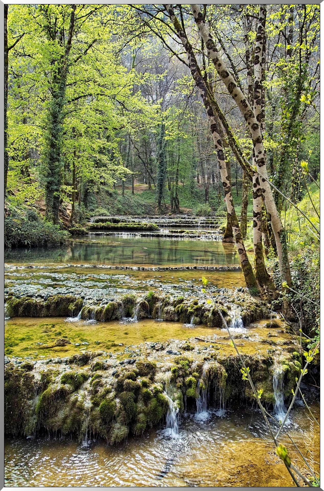 Cascade du Dard Baume les Messieurs2