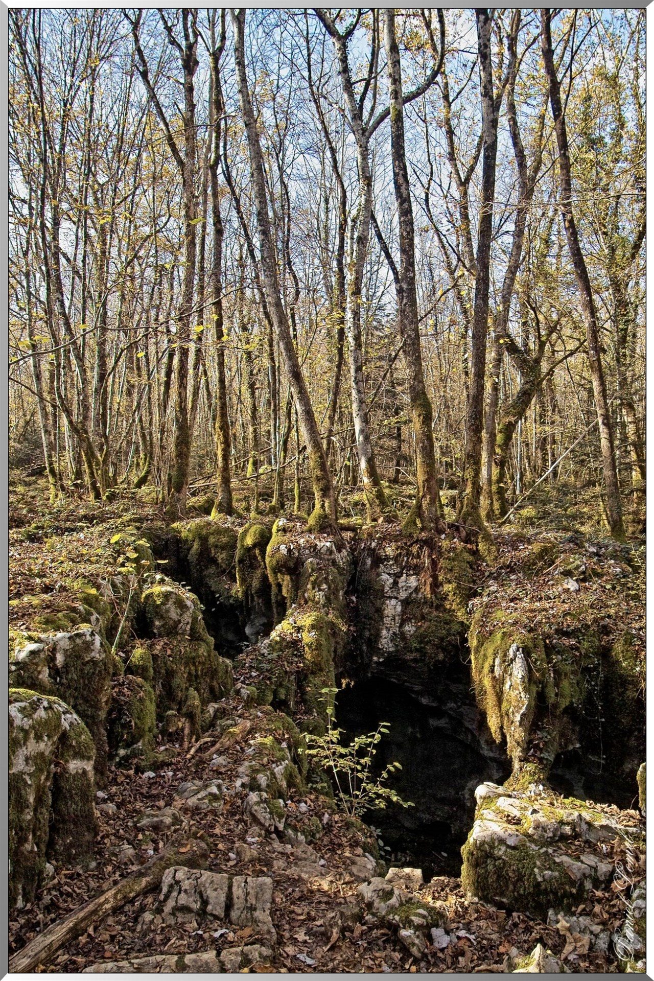 Forêt des Moidons - Grottes