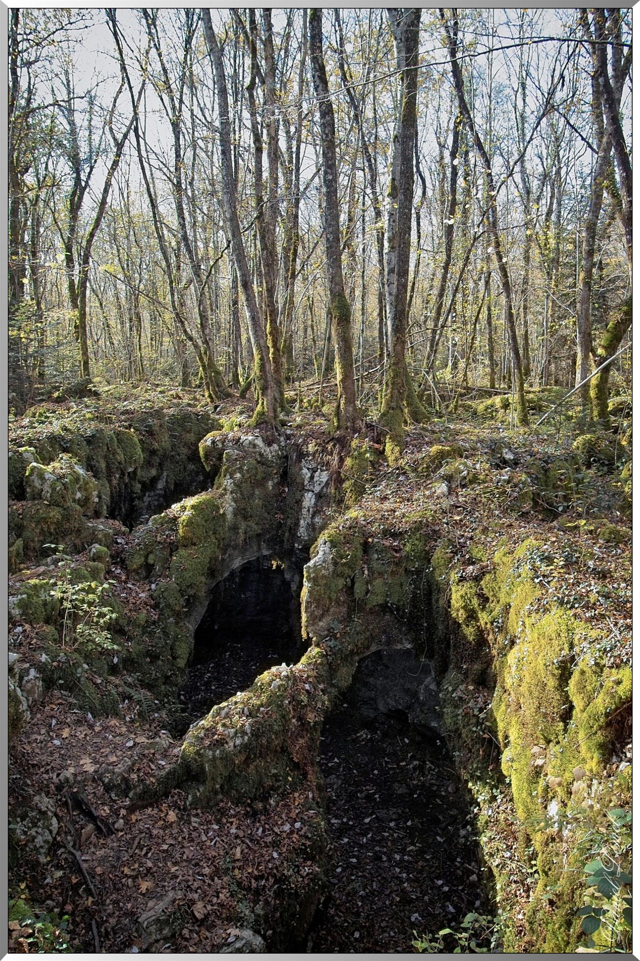 Forêt des Moidons - Grottes