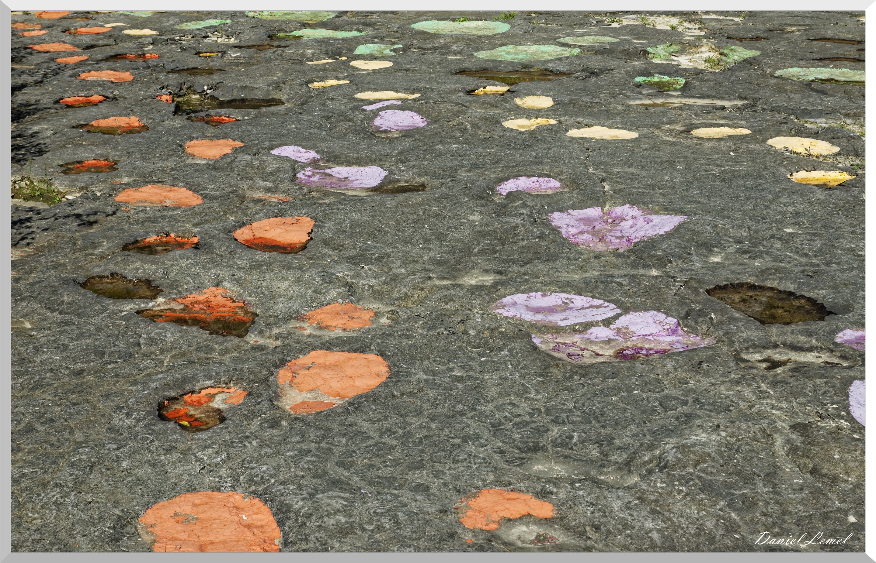 Traces de dinosaures