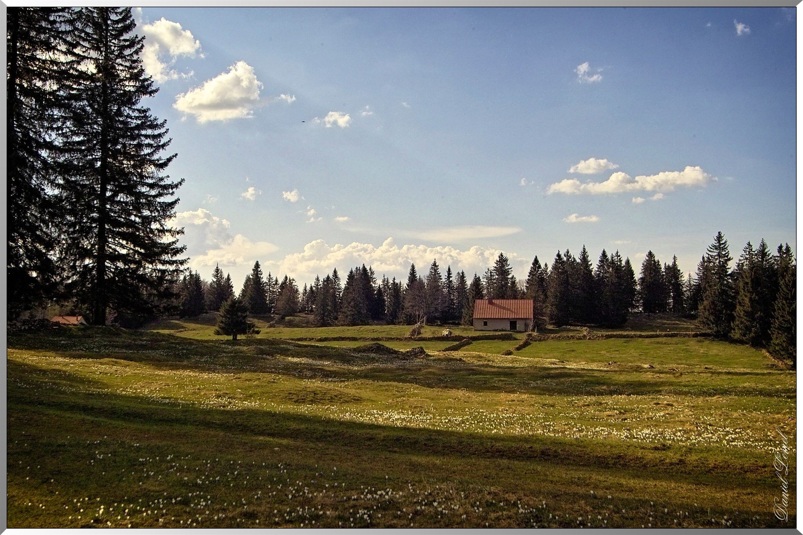 Chalet d'alpage suisse sur la commune d Arzier