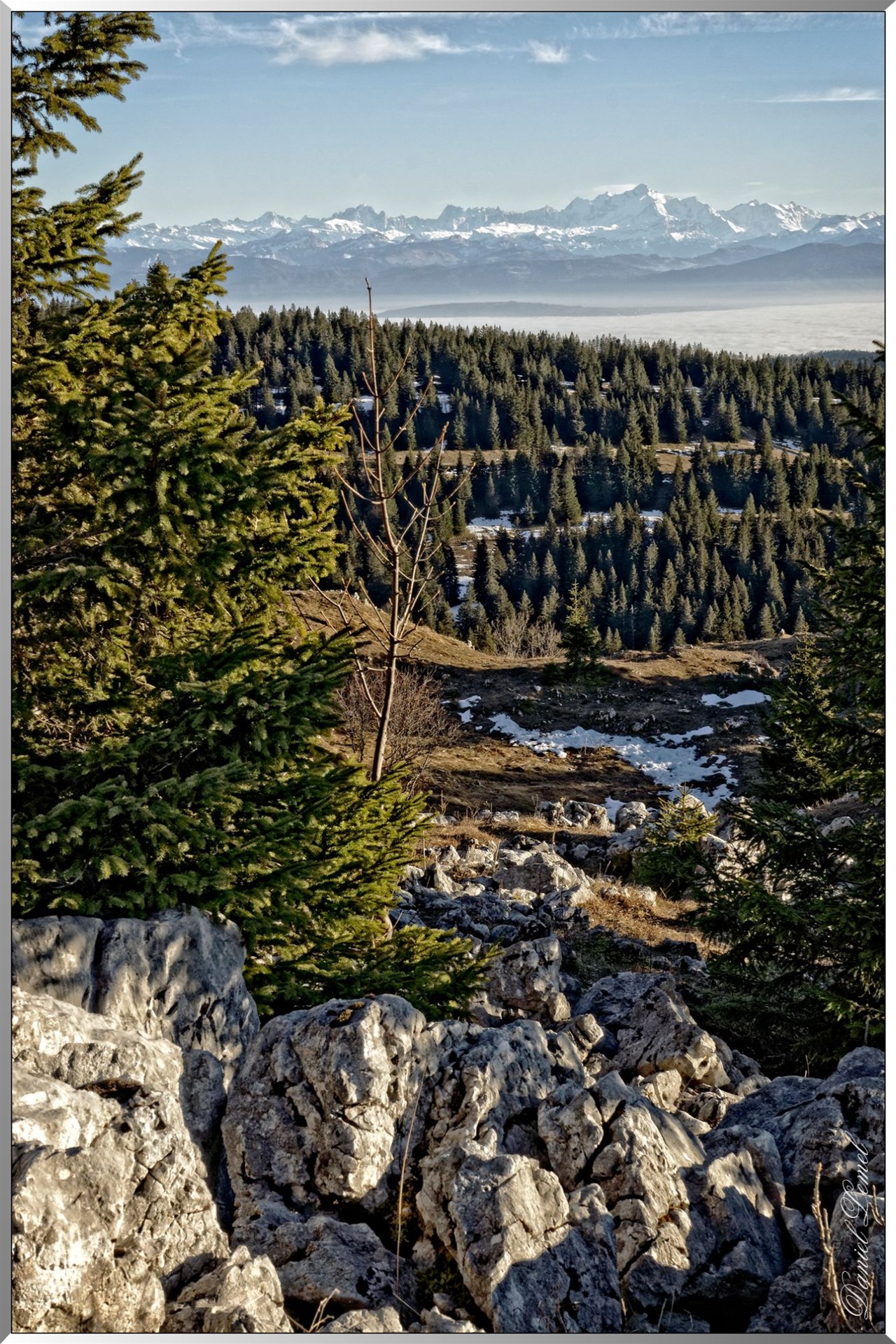 Le Mont-Blanc vu du Noirmont